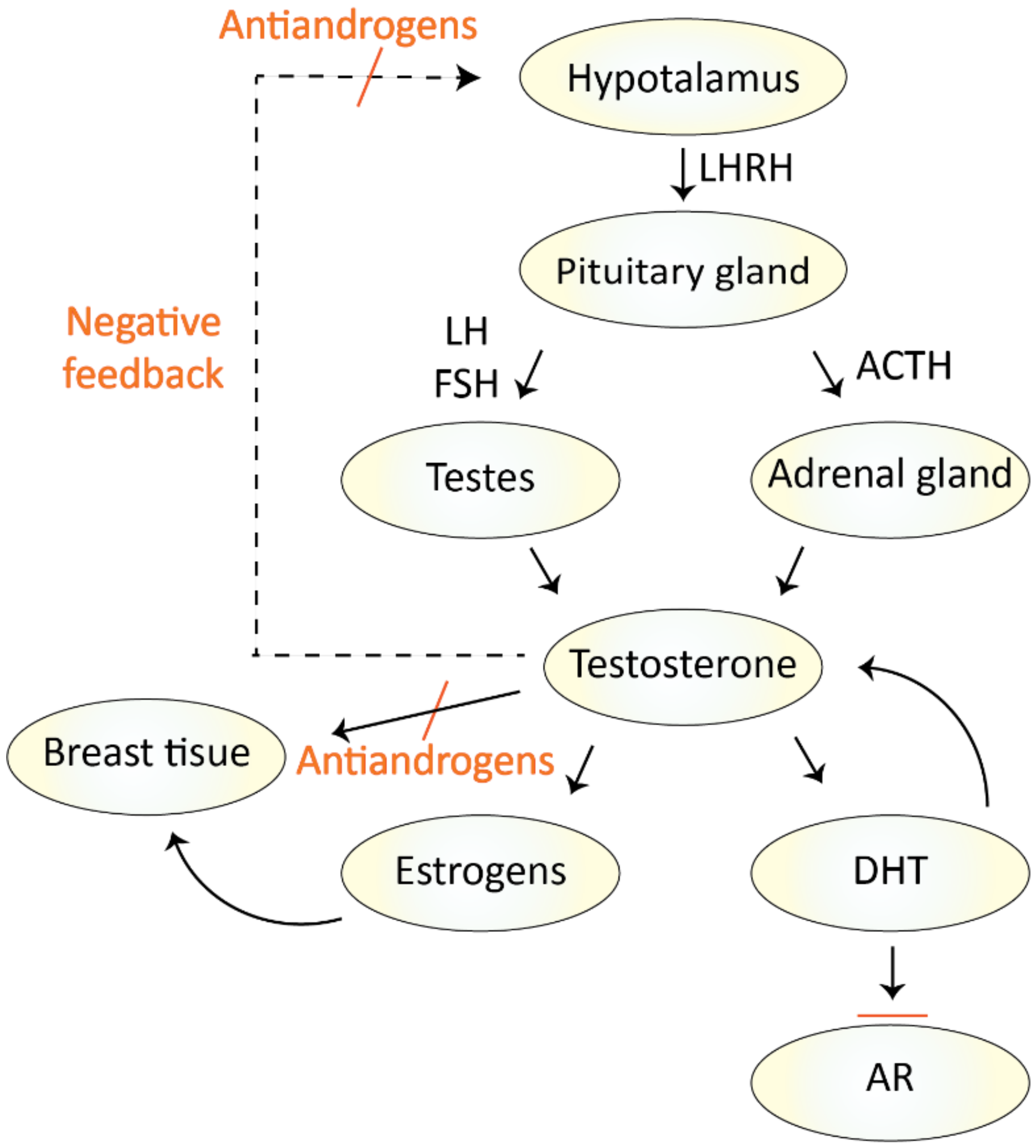 Molecules 26 02228 g002