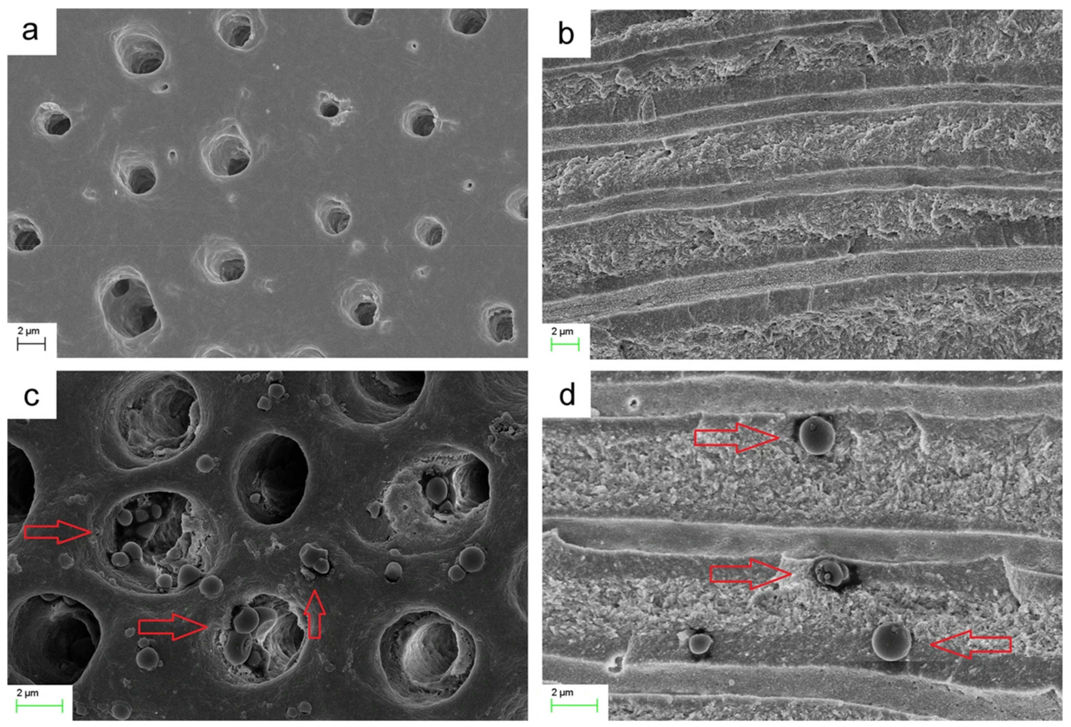 Molecules 26 02229 g005