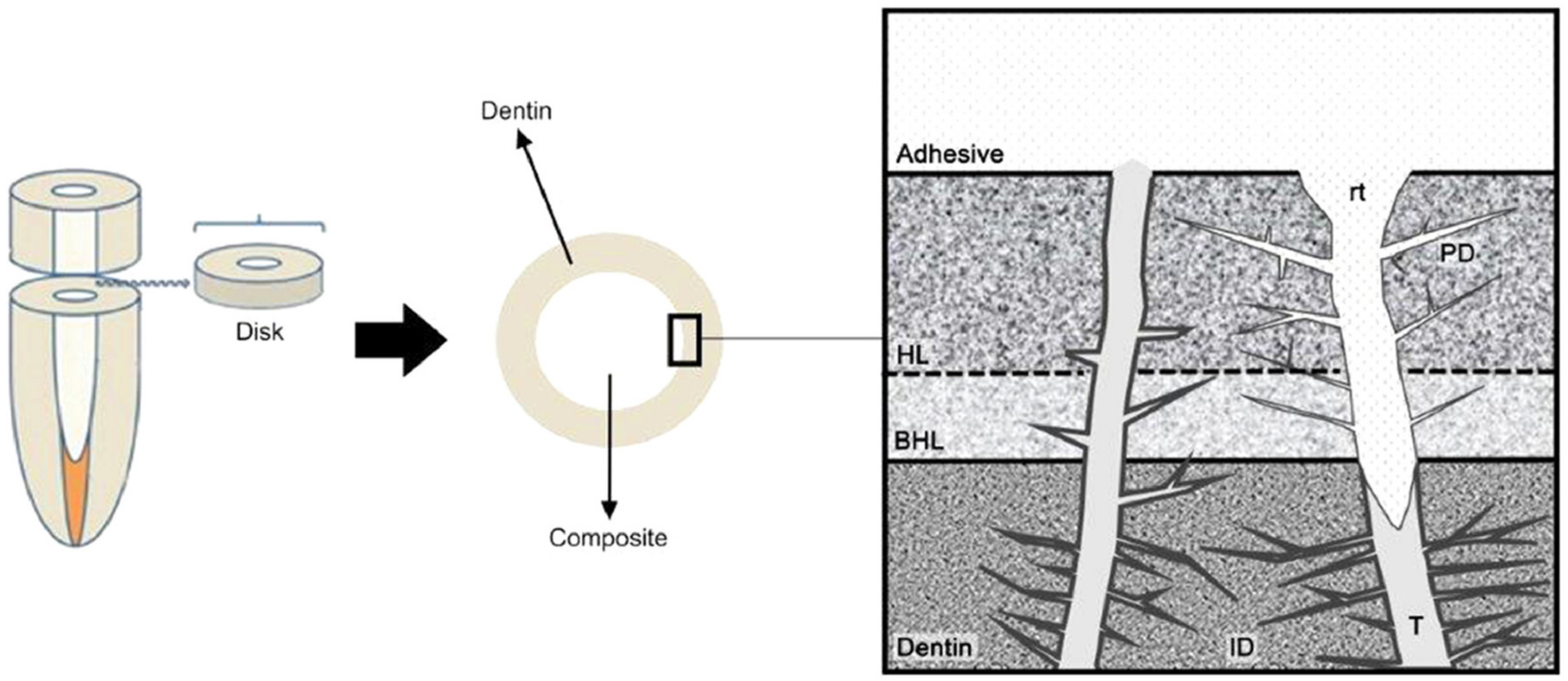 Molecules 26 02229 g009