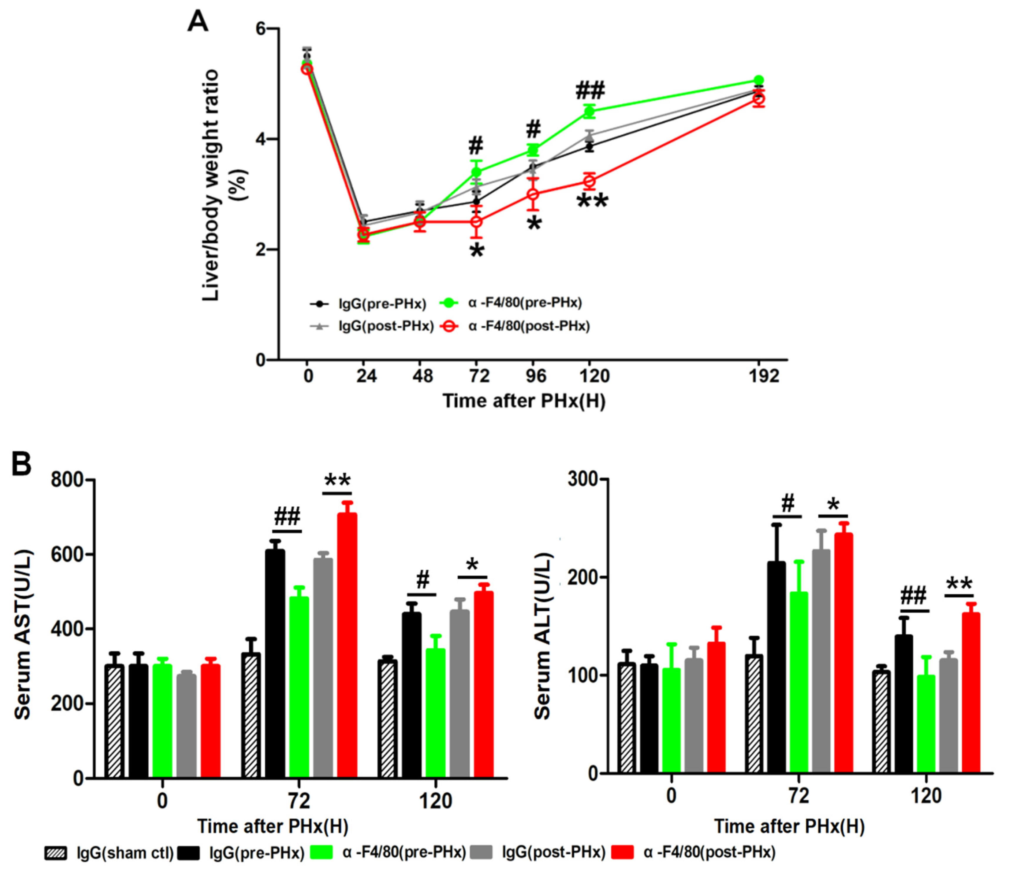 Molecules 26 02231 g002a Molecules 26 02231 g002a