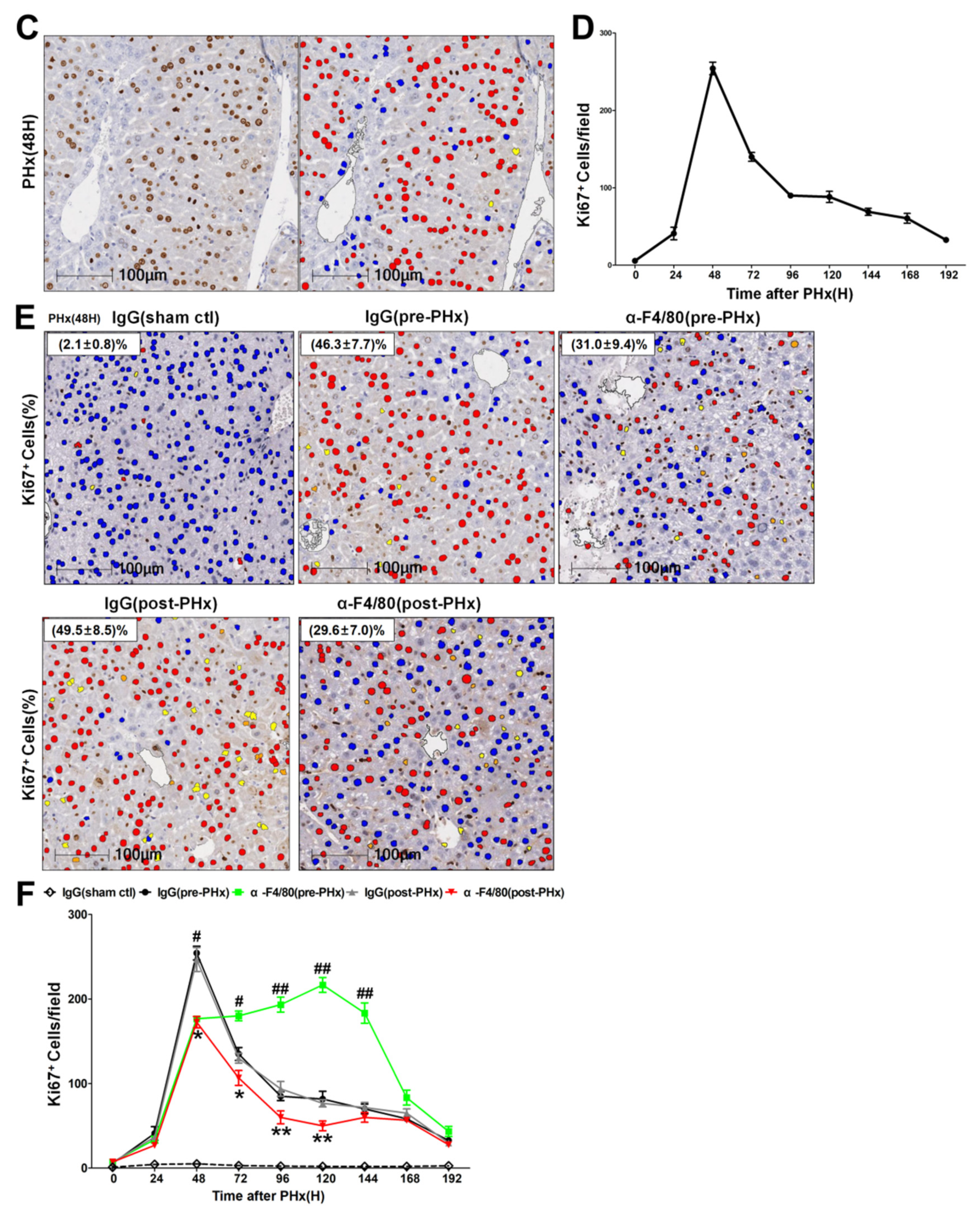 Molecules 26 02231 g002b Molecules 26 02231 g002b