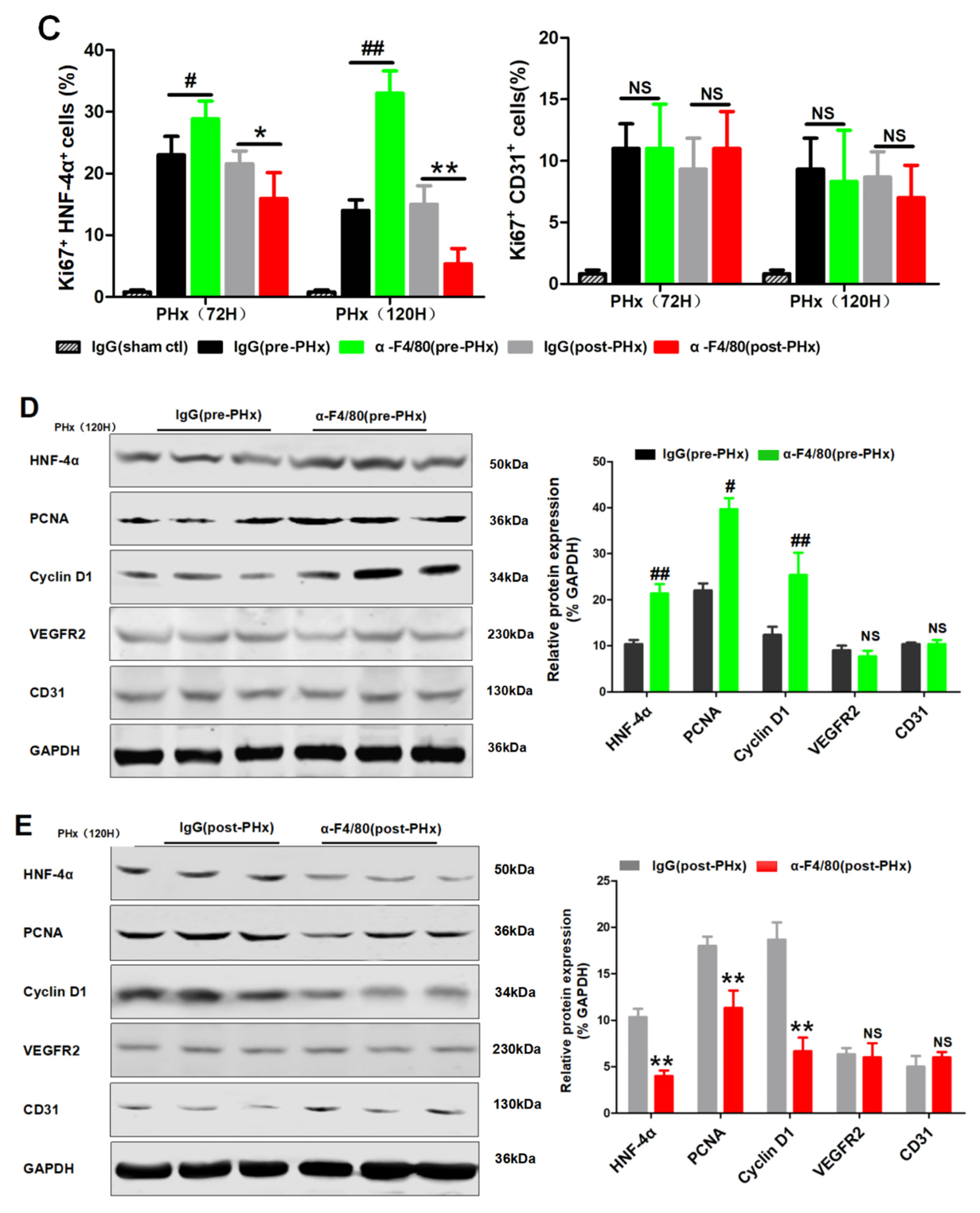 Molecules 26 02231 g003b Molecules 26 02231 g003b