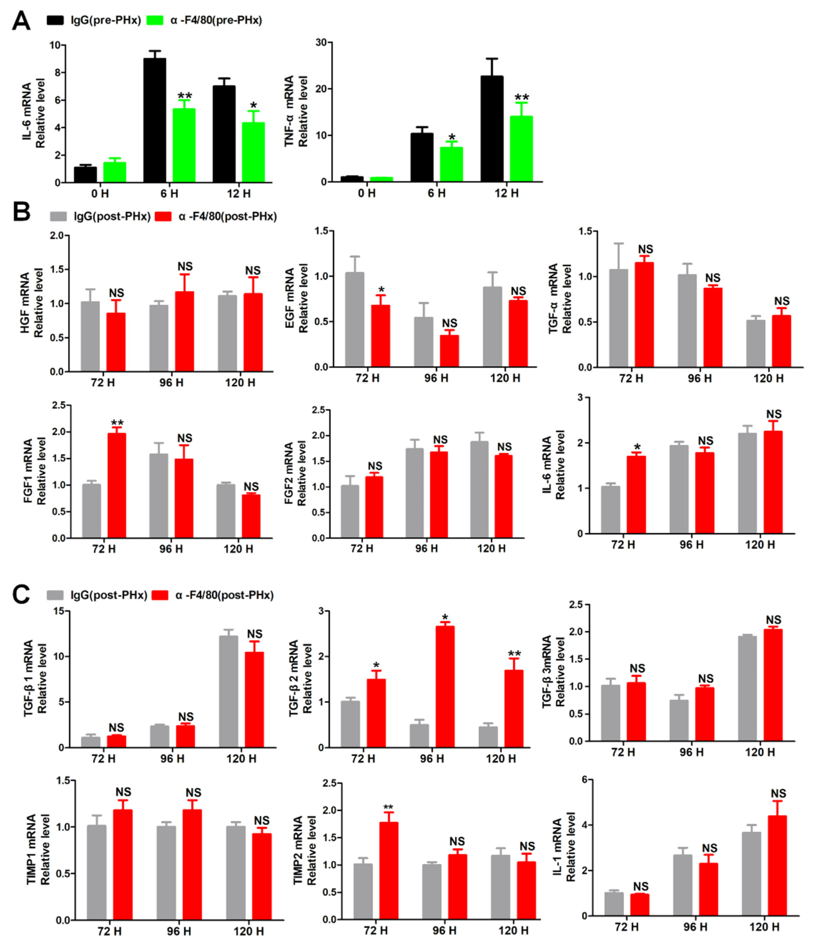 Molecules 26 02231 g005 Molecules 26 02231 g005