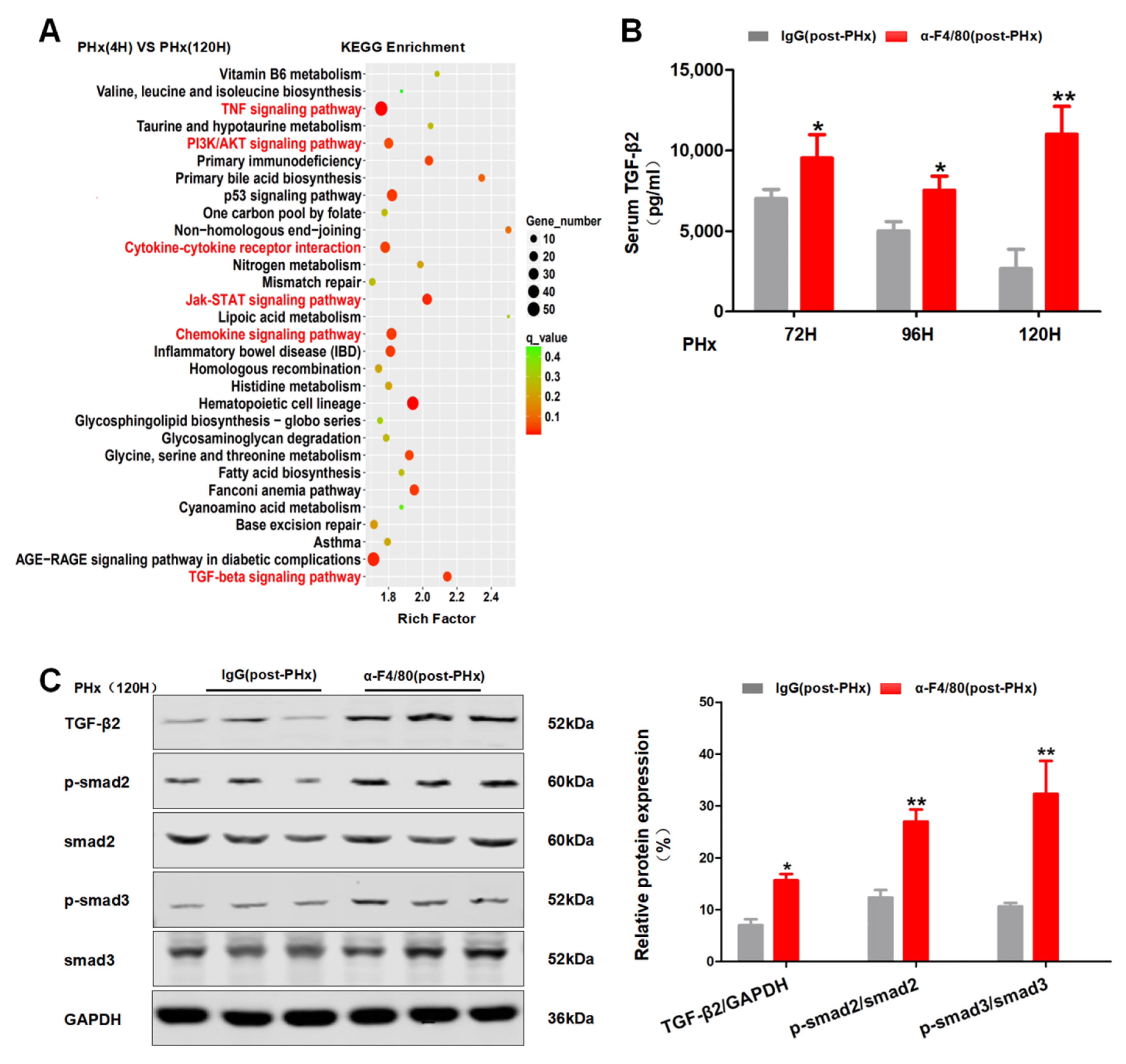 Molecules 26 02231 g006 Molecules 26 02231 g006