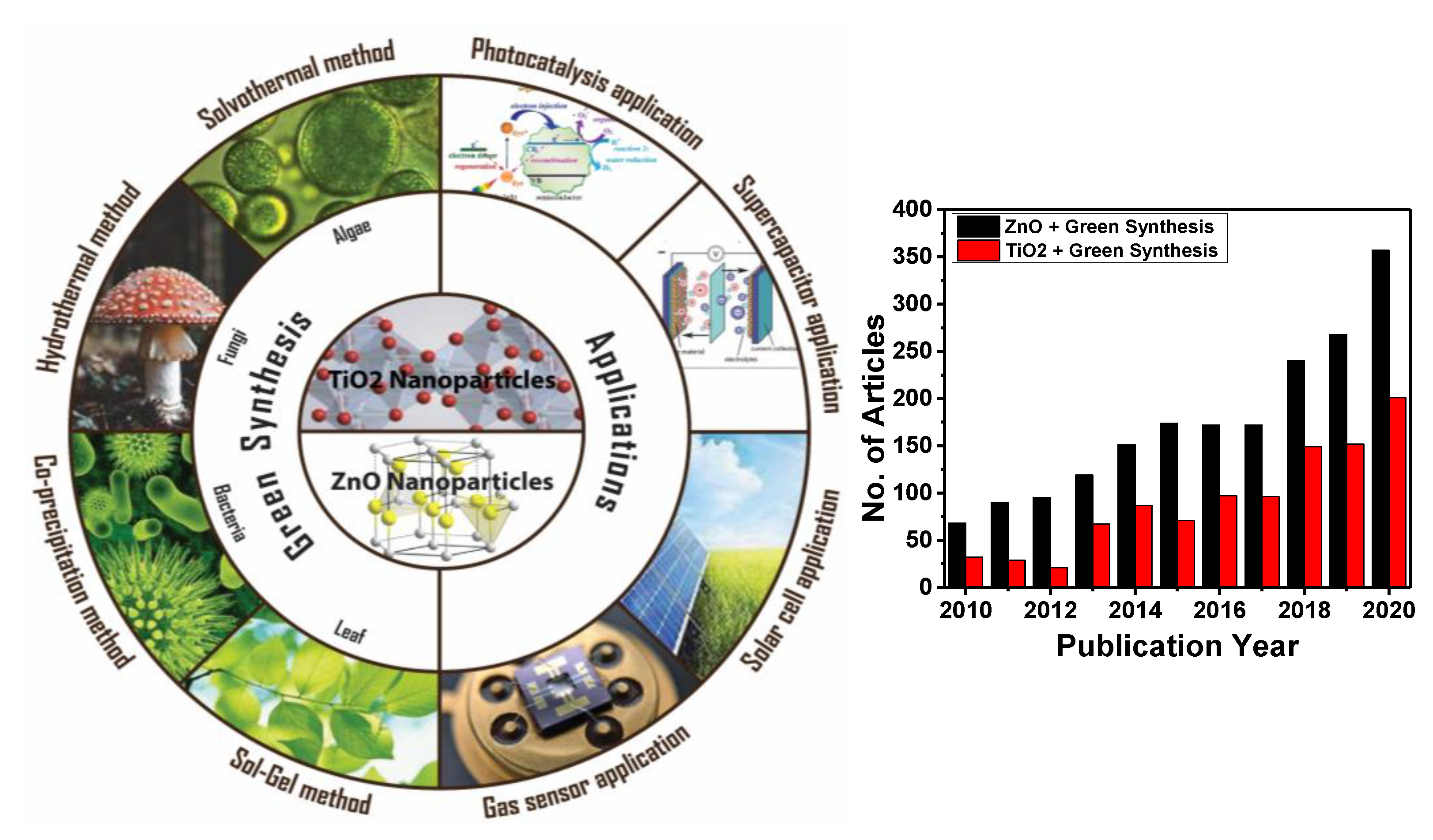 Molecules 26 02236 g001