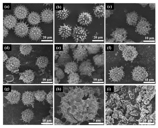 Molecules 26 02236 g011 550