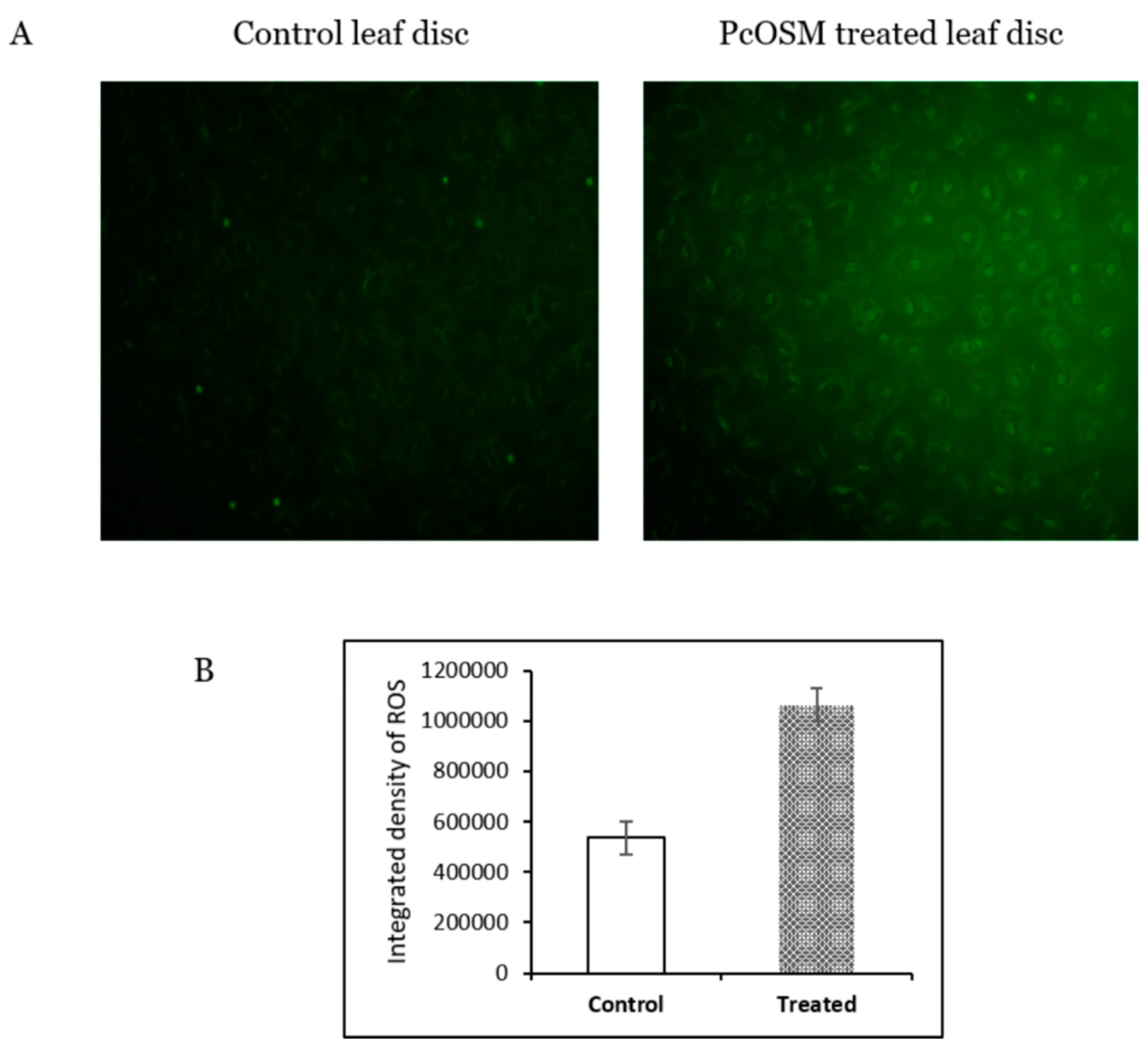 Molecules 26 02239 g003 Molecules 26 02239 g003