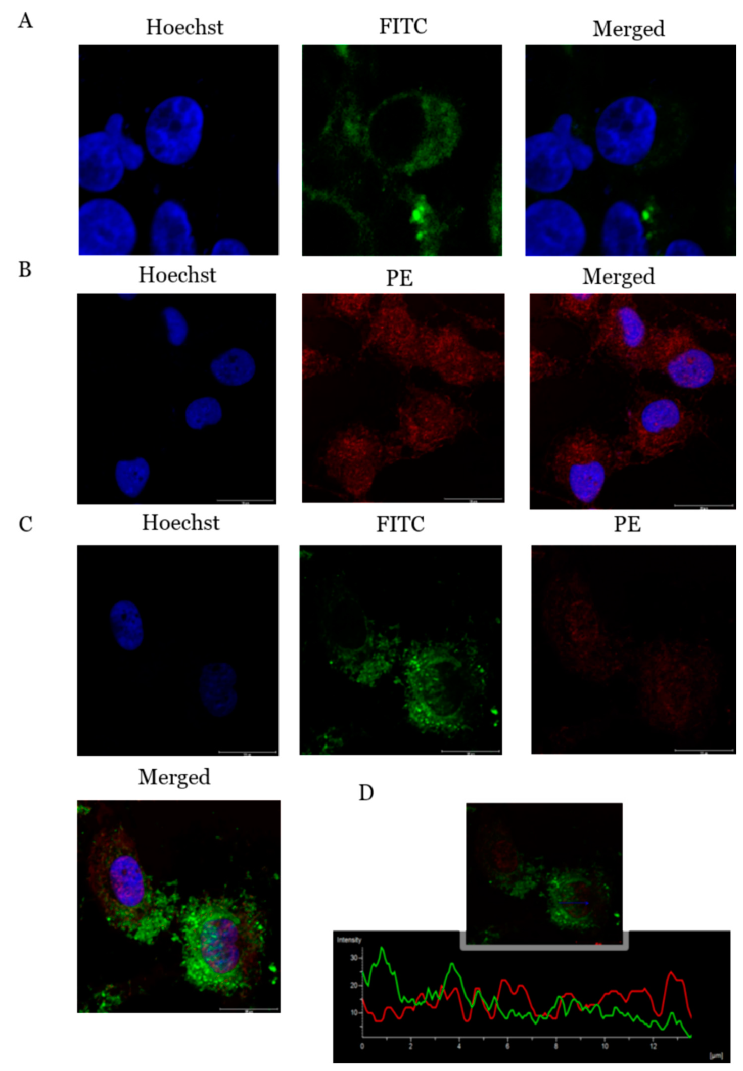 Molecules 26 02239 g006 Molecules 26 02239 g006