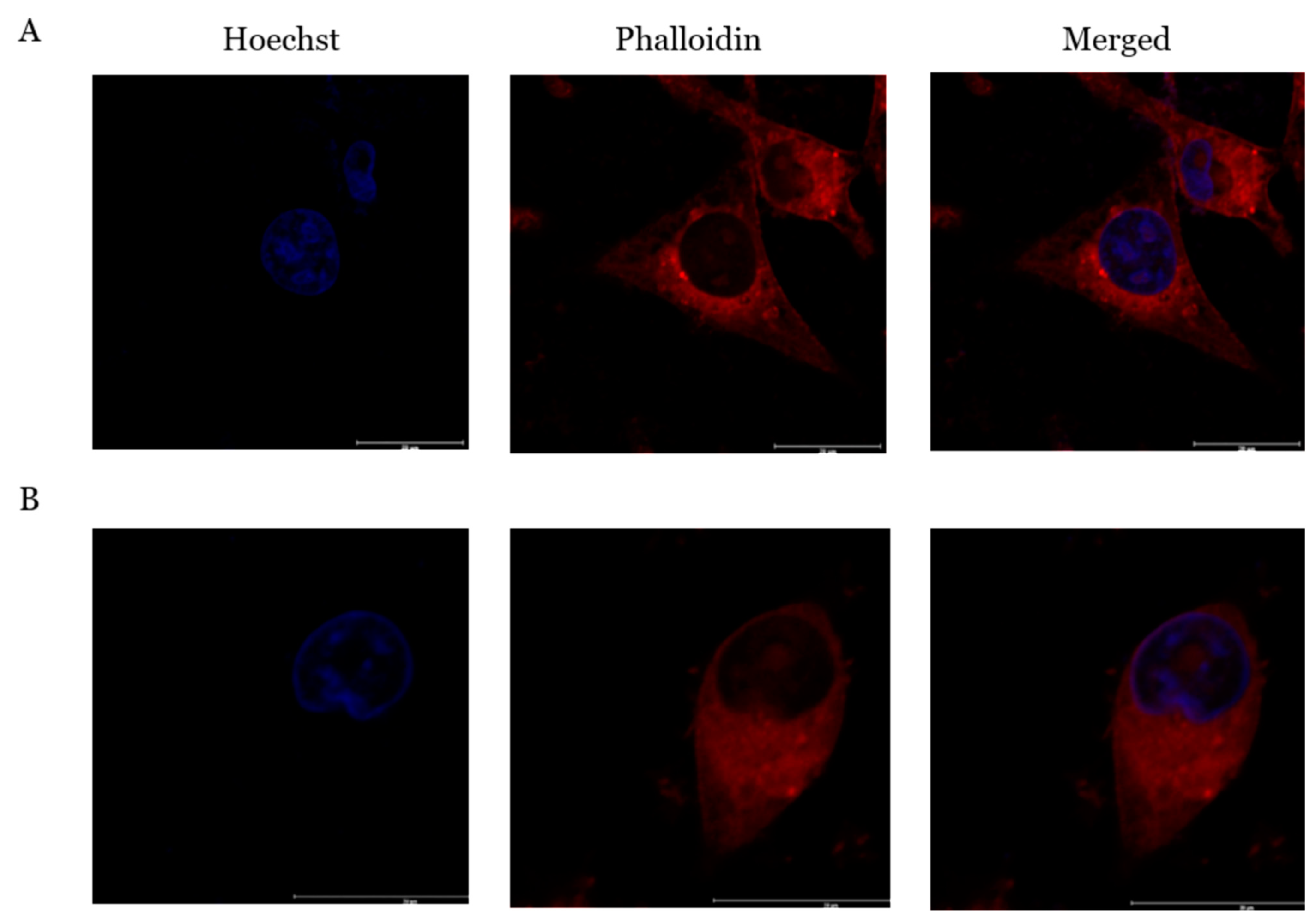 Molecules 26 02239 g007 Molecules 26 02239 g007