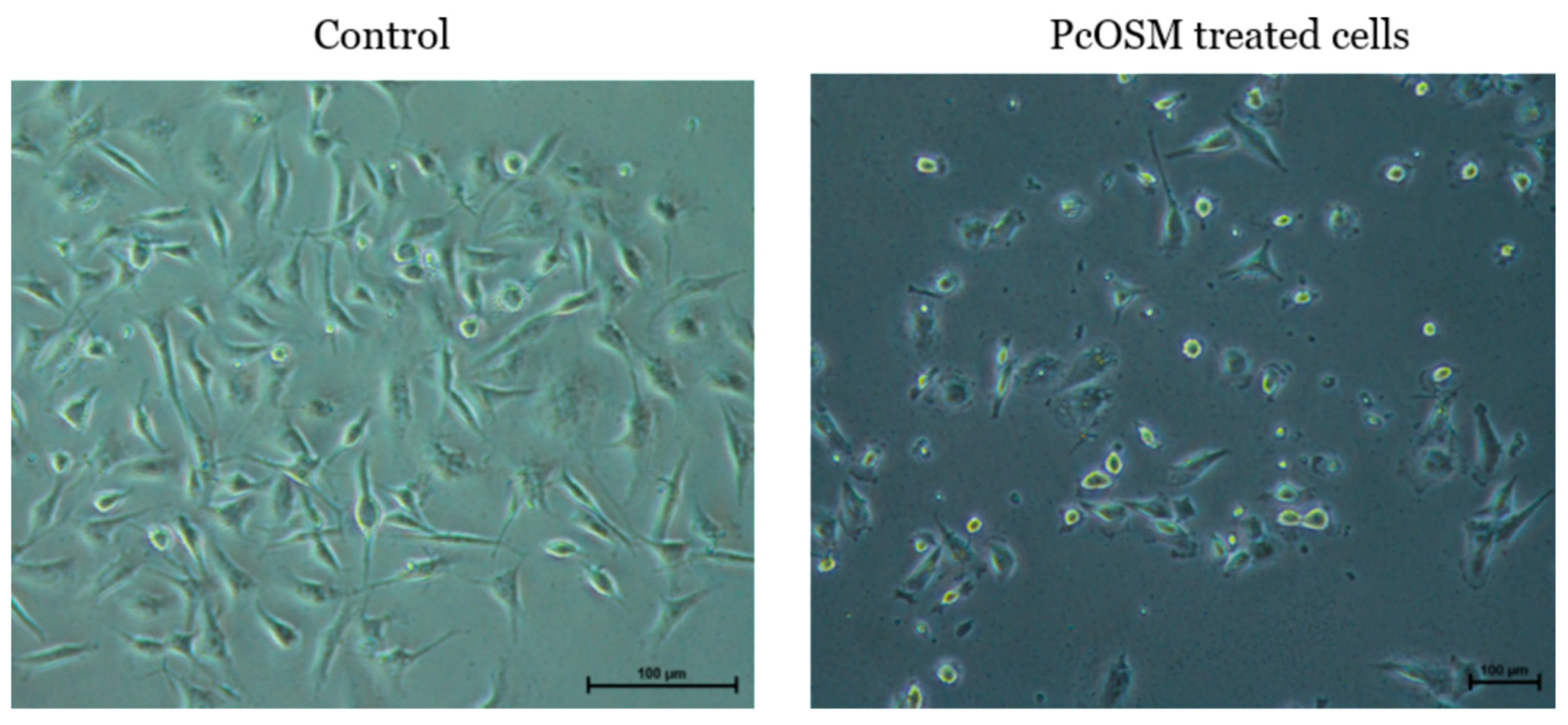 Molecules 26 02239 g009 Molecules 26 02239 g009