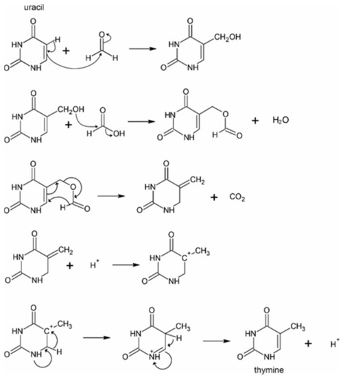 Molecules Free FullText Prebiotic Route to Thymine from Formamide—A Combined Experimental