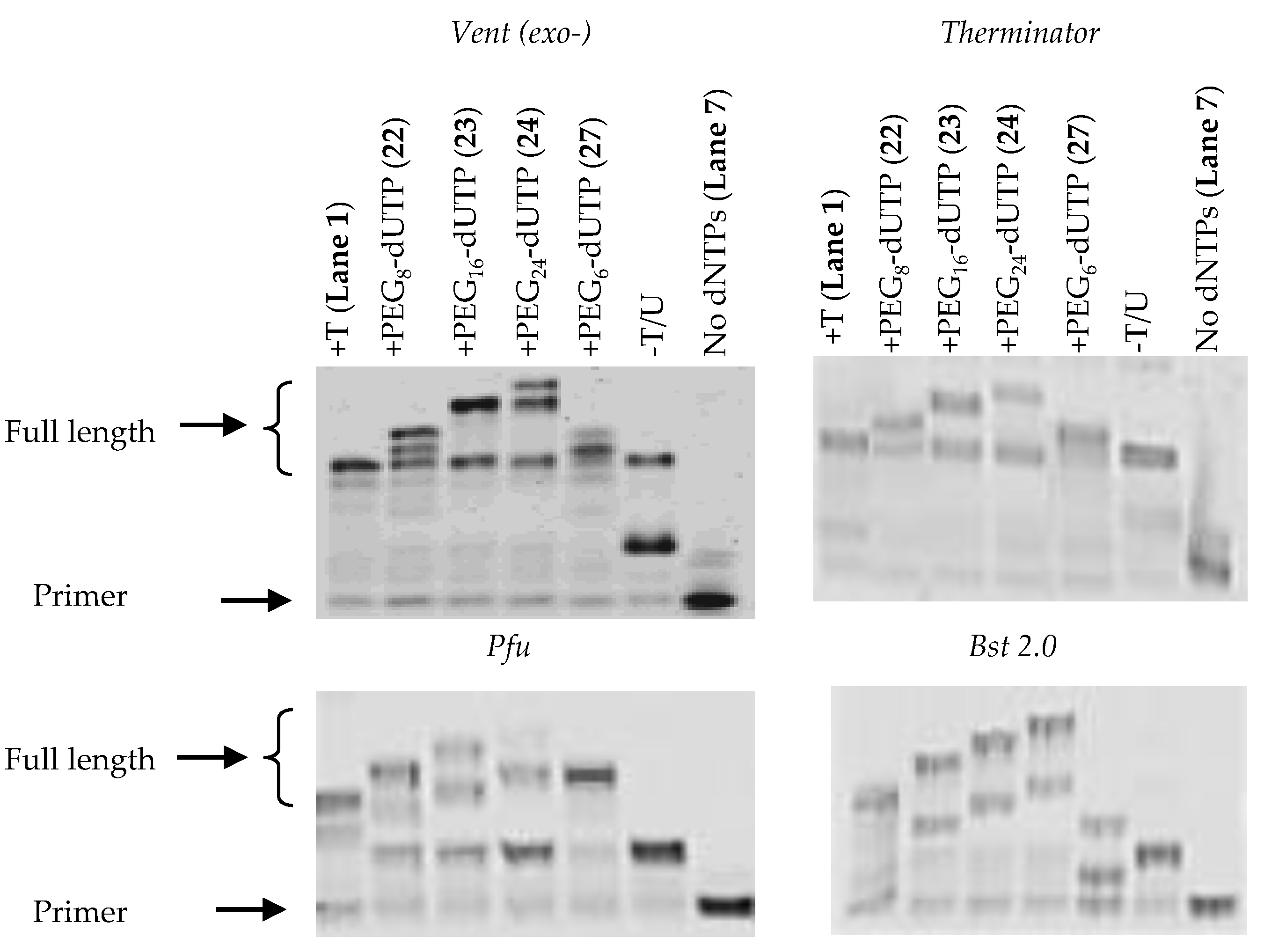 Molecules 26 02250 g005