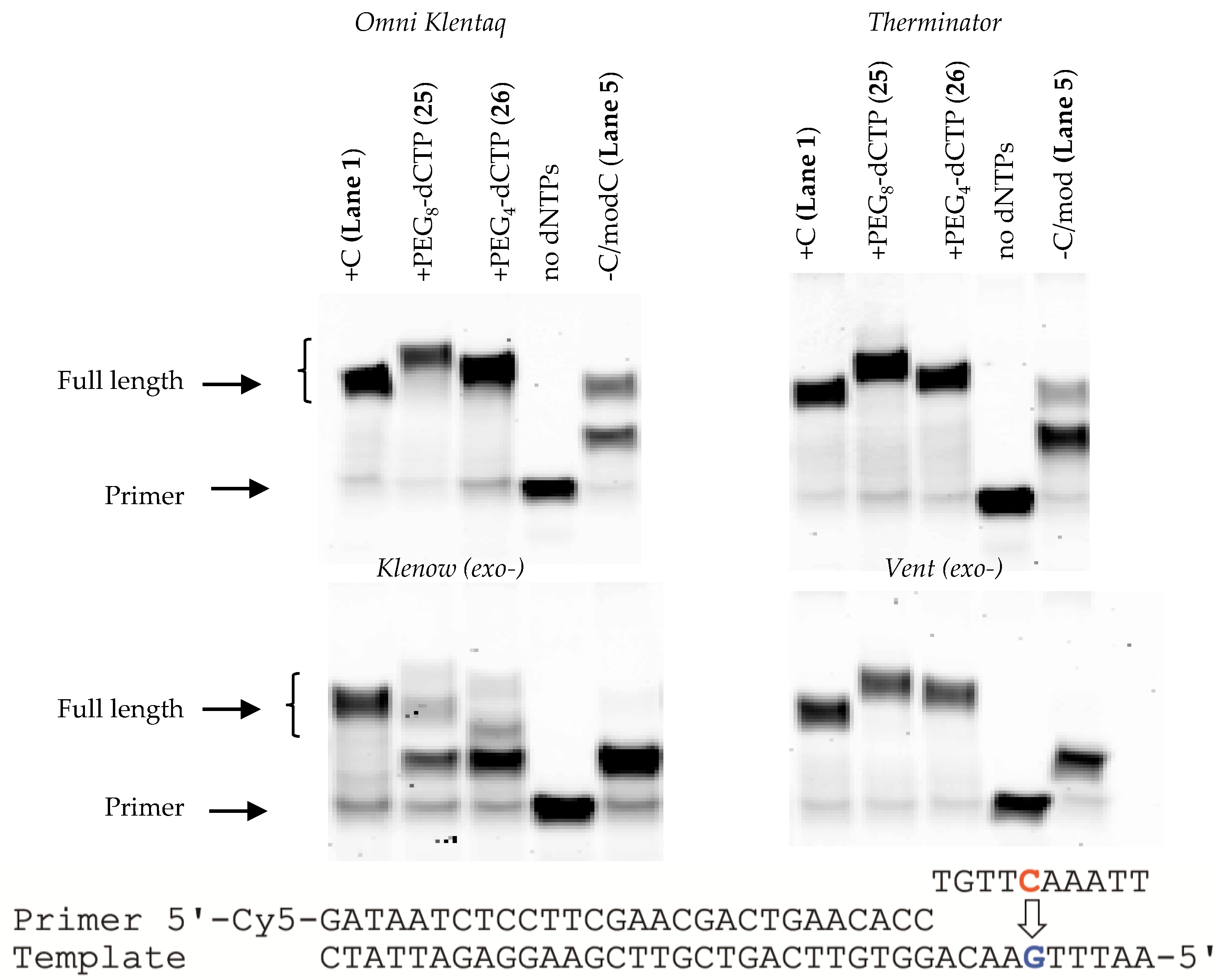 Molecules 26 02250 g006