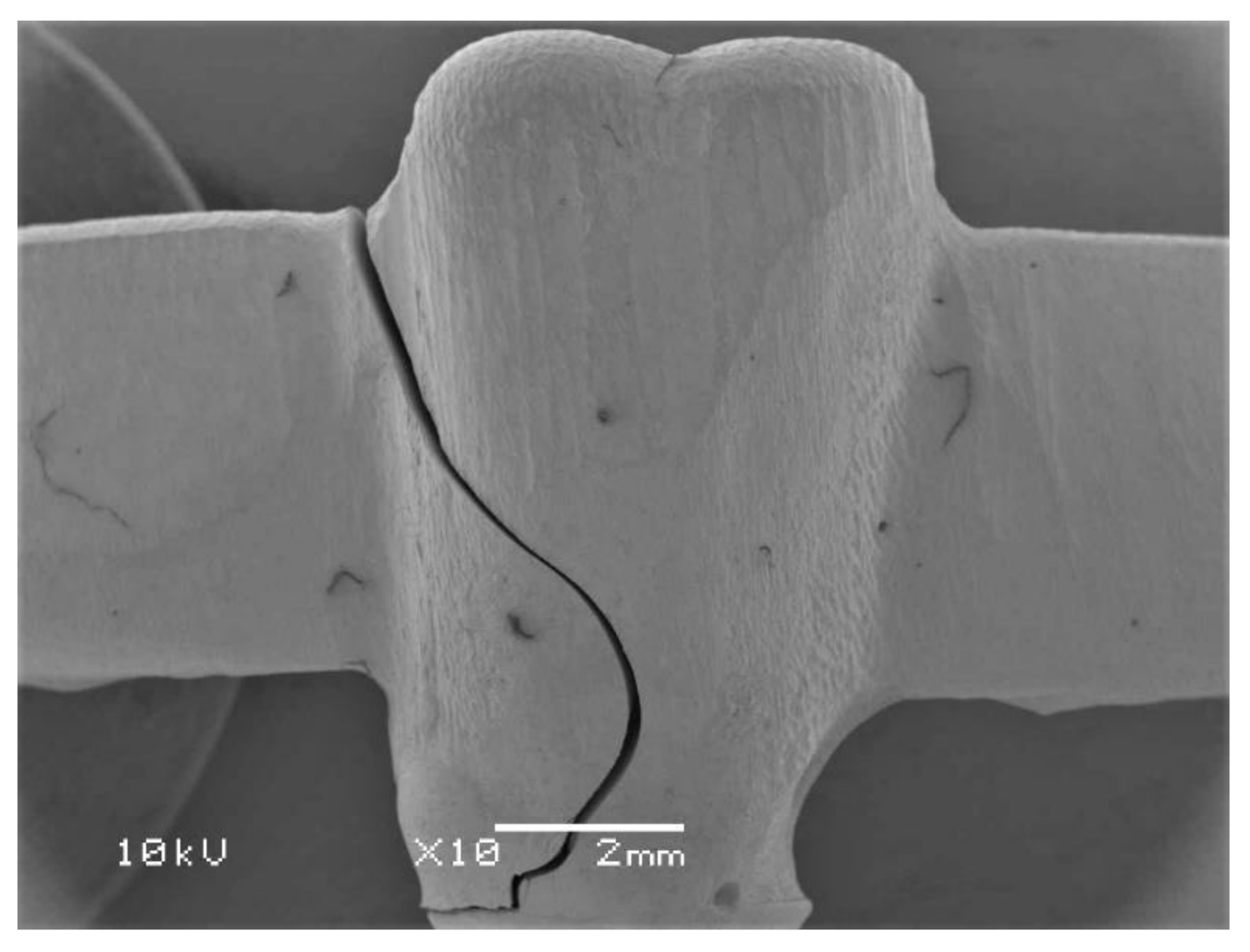 Molecules 26 02259 g004 Molecules 26 02259 g004