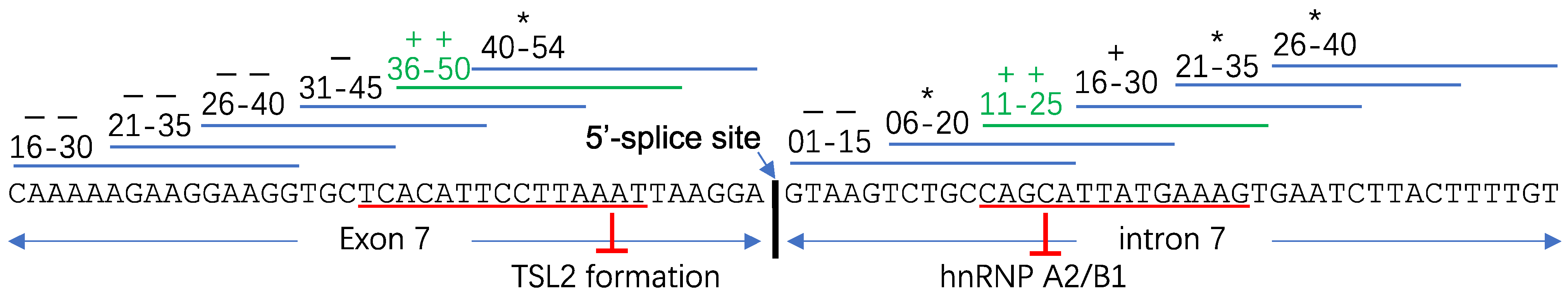 Molecules 26 02263 g009