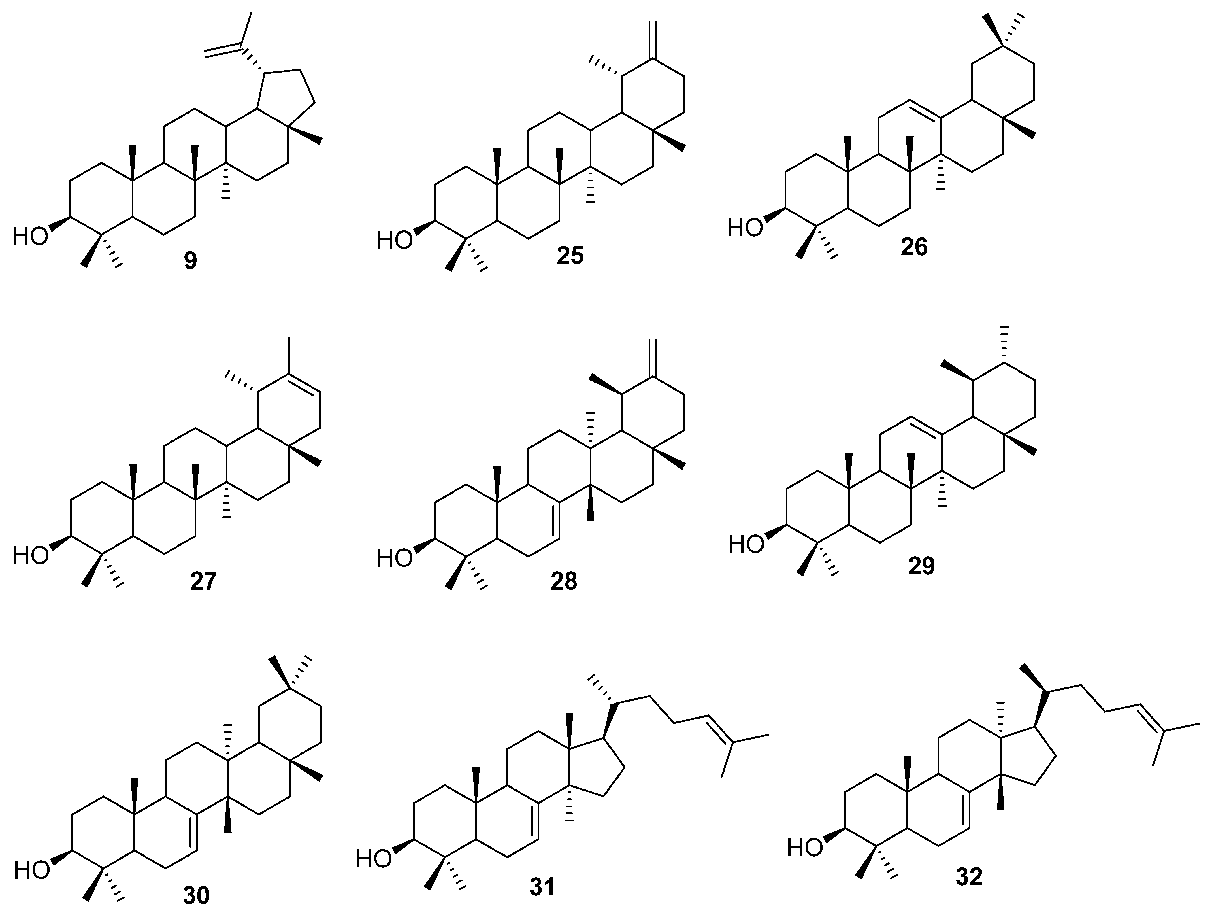 Molecules 26 02271 g004 Molecules 26 02271 g004