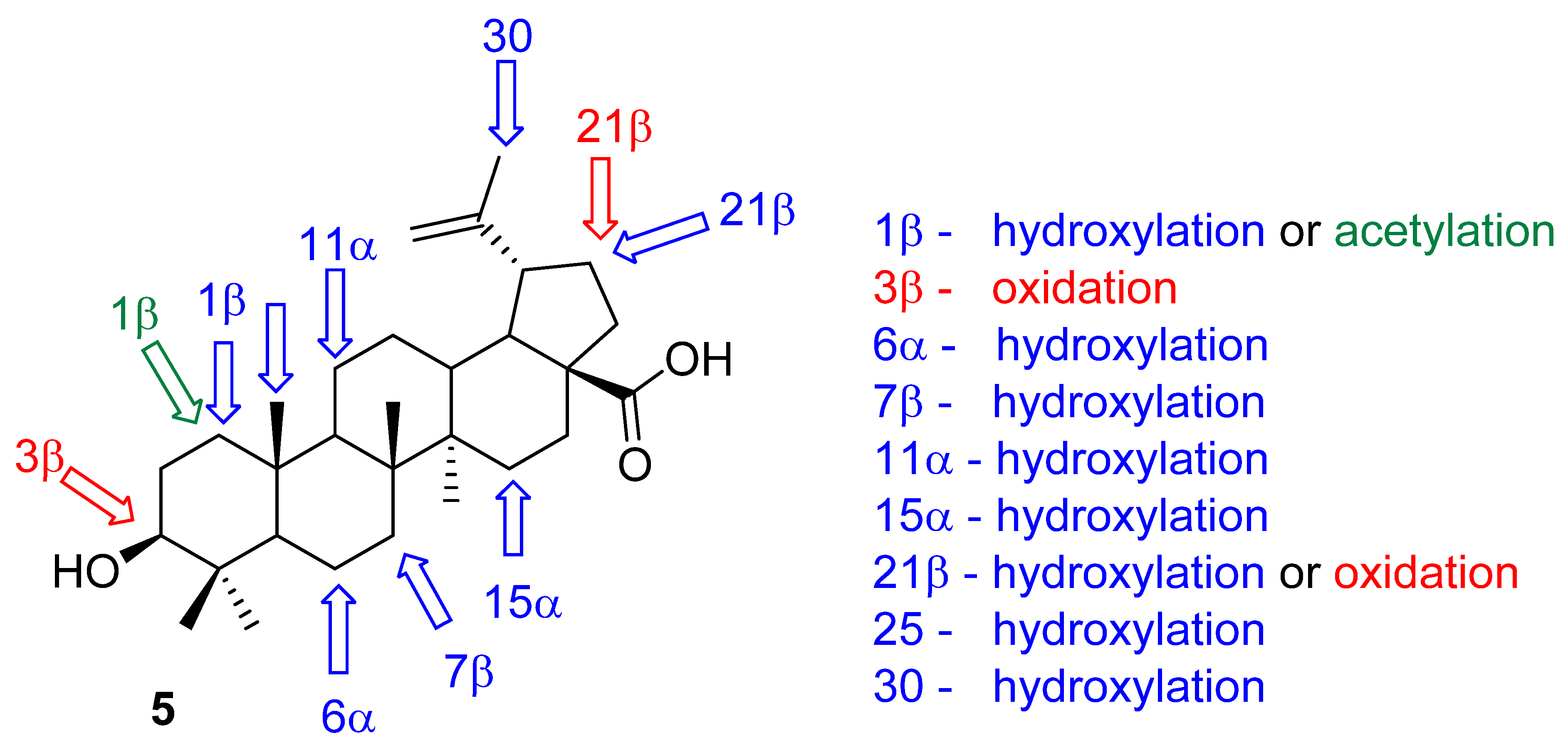 Molecules 26 02271 g005 Molecules 26 02271 g005