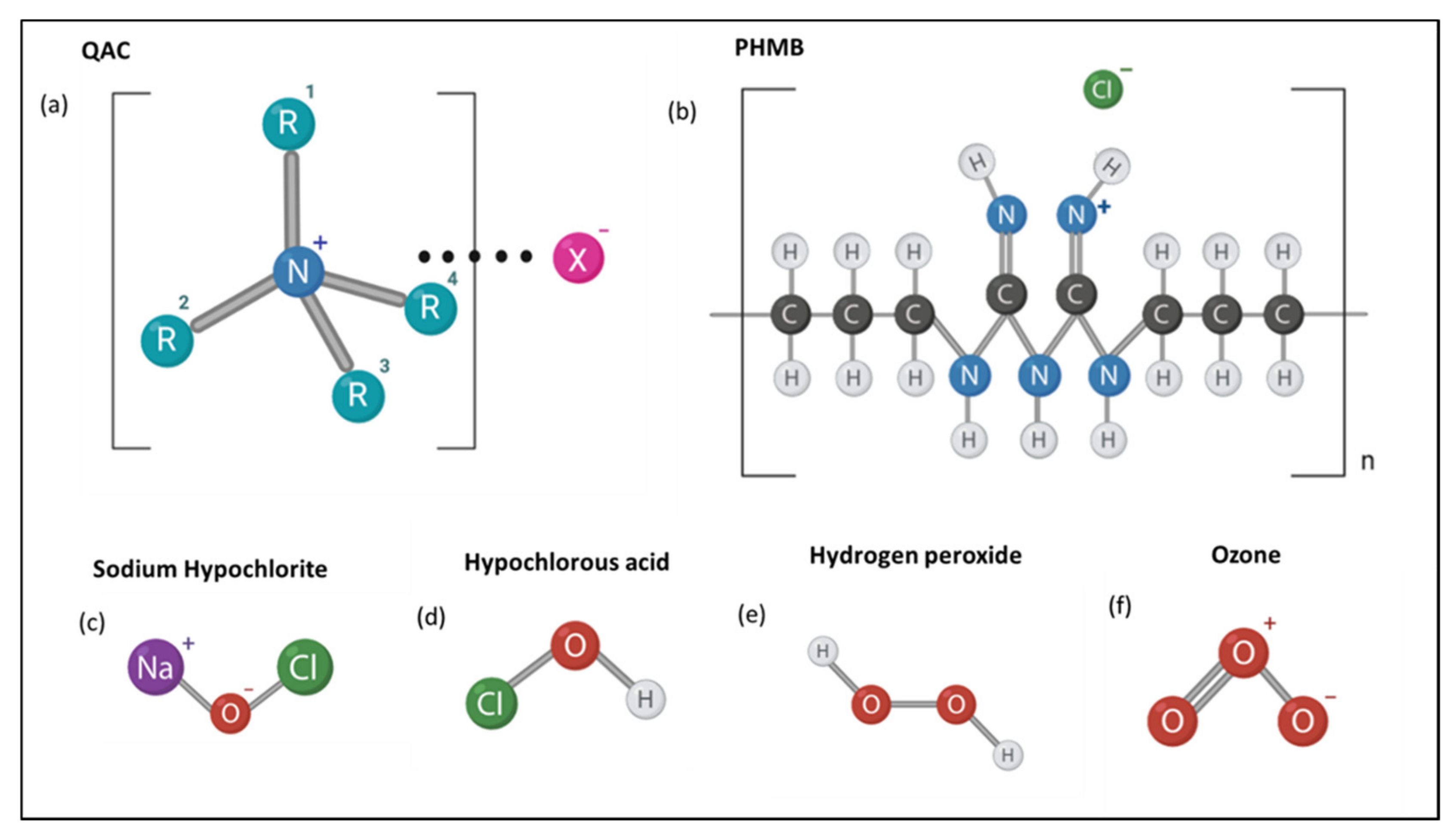 Molecules 26 02276 g002