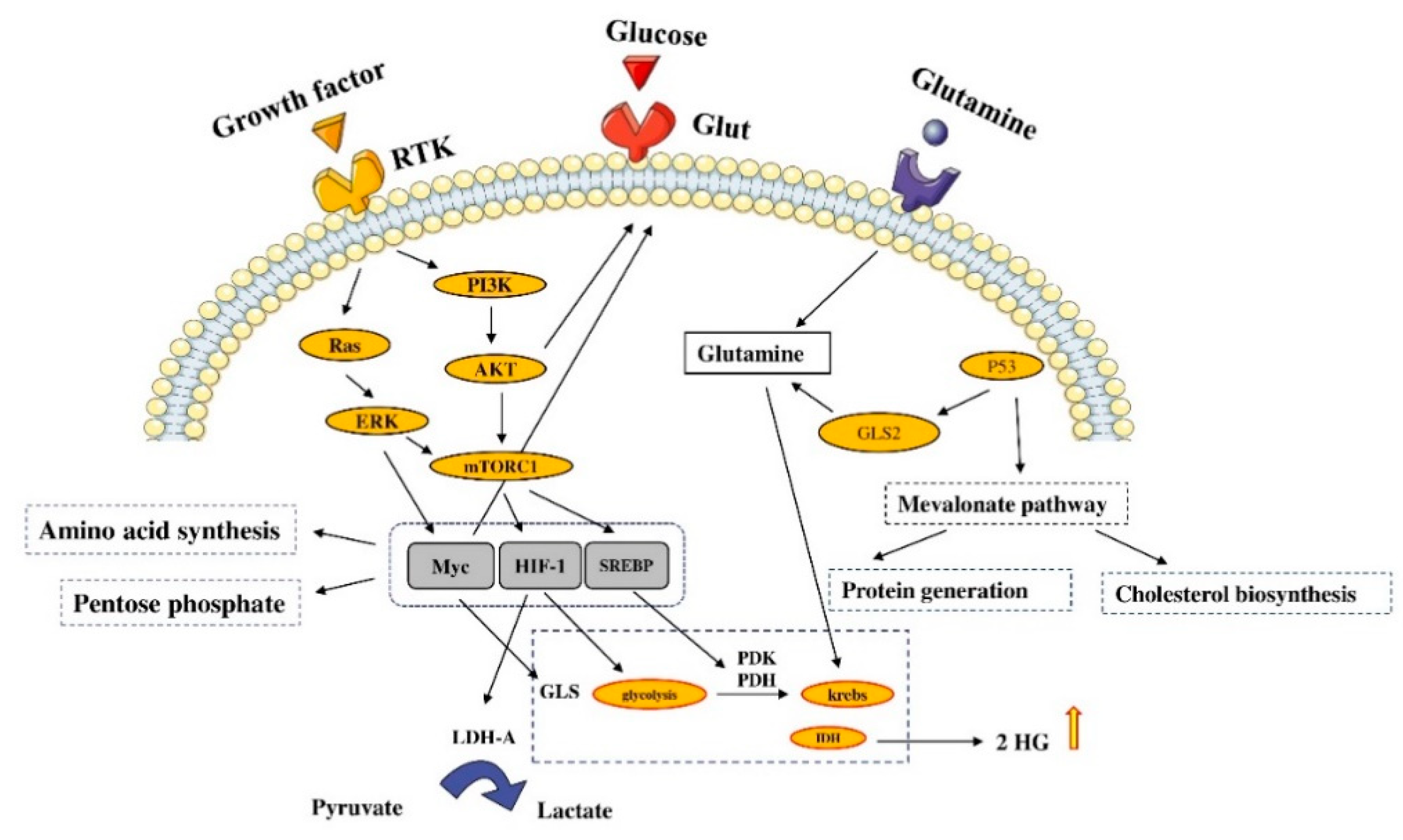 Molecules 26 02278 g003