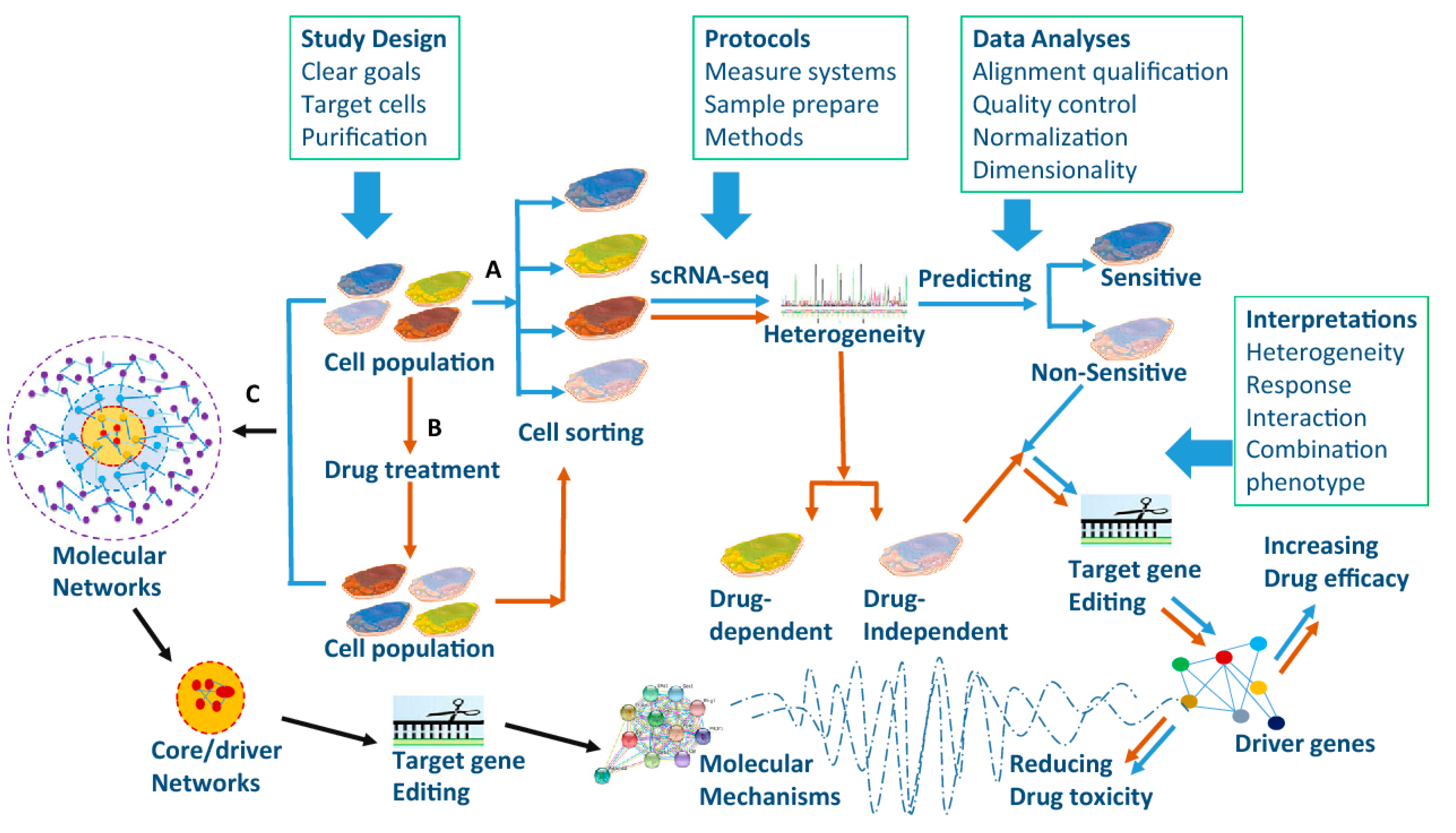 Molecules 26 02278 g005