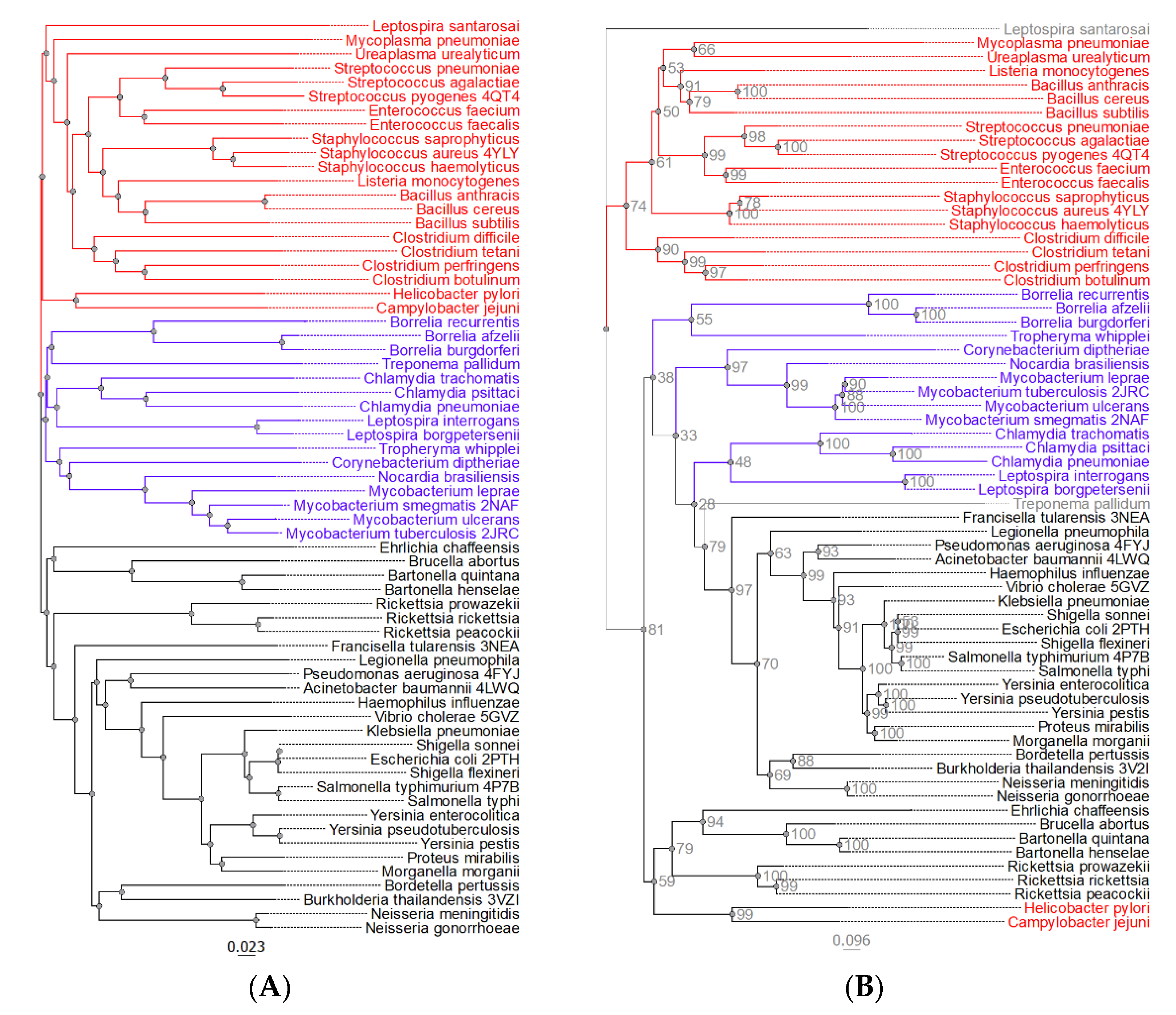 Molecules 26 02281 g002 Molecules 26 02281 g002