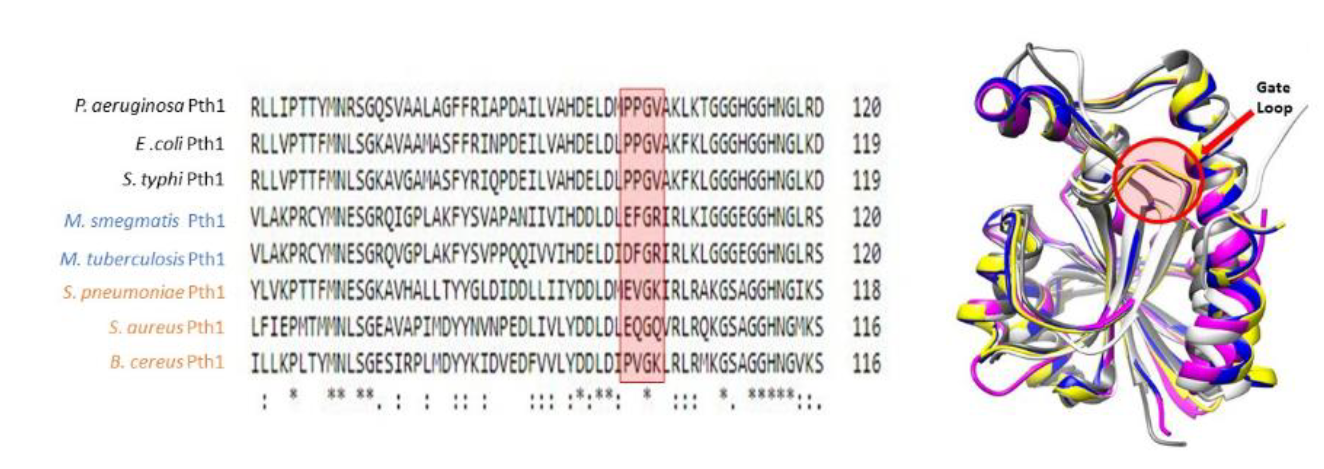 Molecules 26 02281 g003 Molecules 26 02281 g003