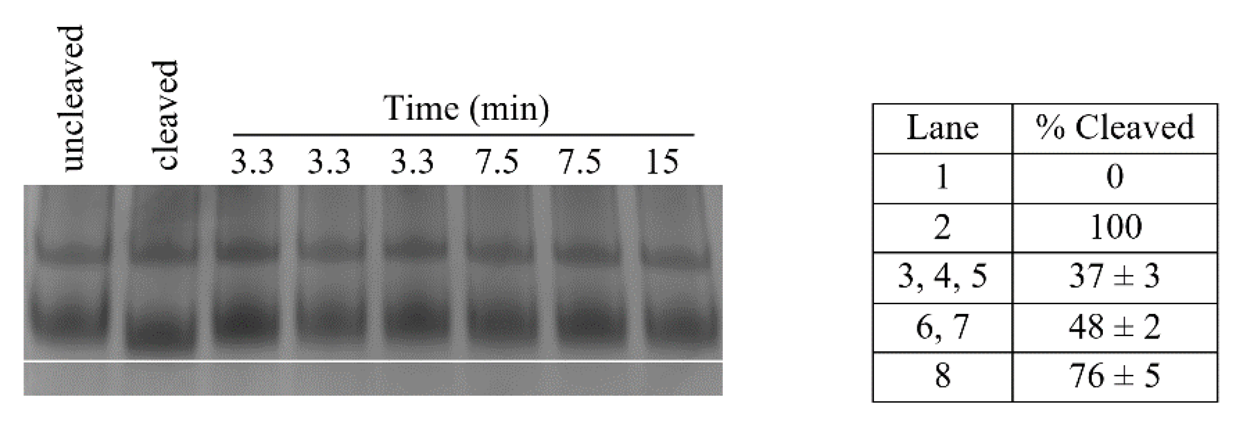 Molecules 26 02281 g008 Molecules 26 02281 g008