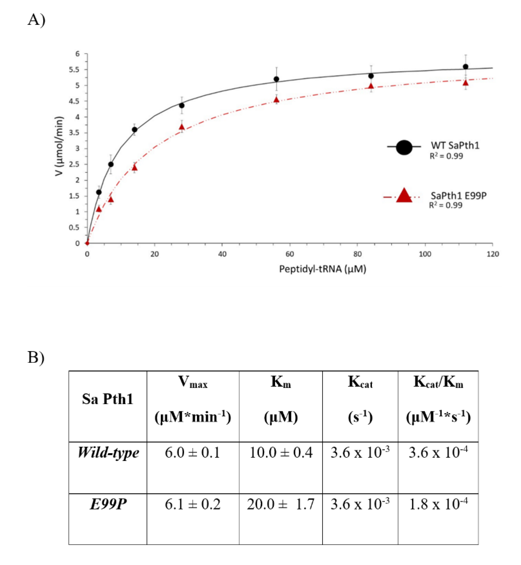 Molecules 26 02281 g009 Molecules 26 02281 g009