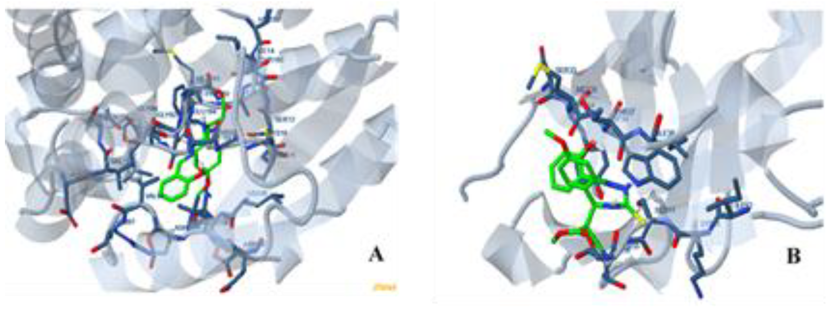 Molecules 26 02288 g004