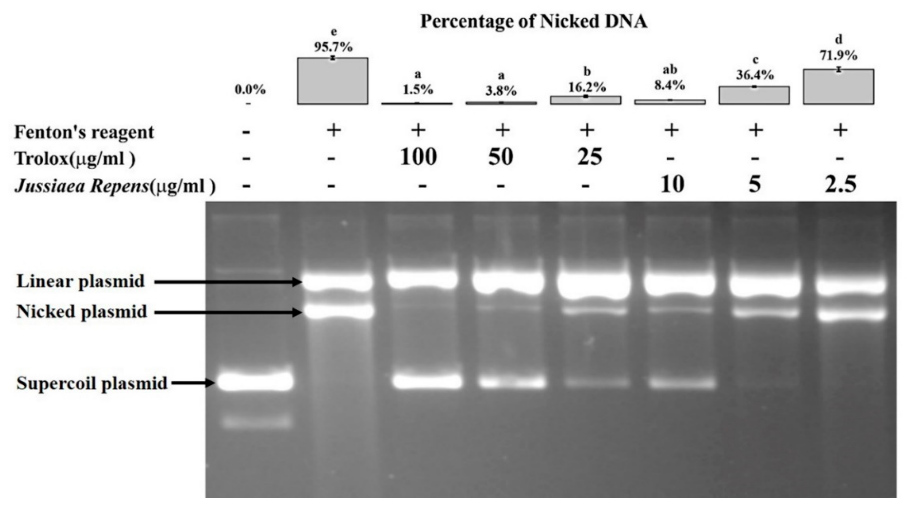 Molecules 26 02291 g001 Molecules 26 02291 g001