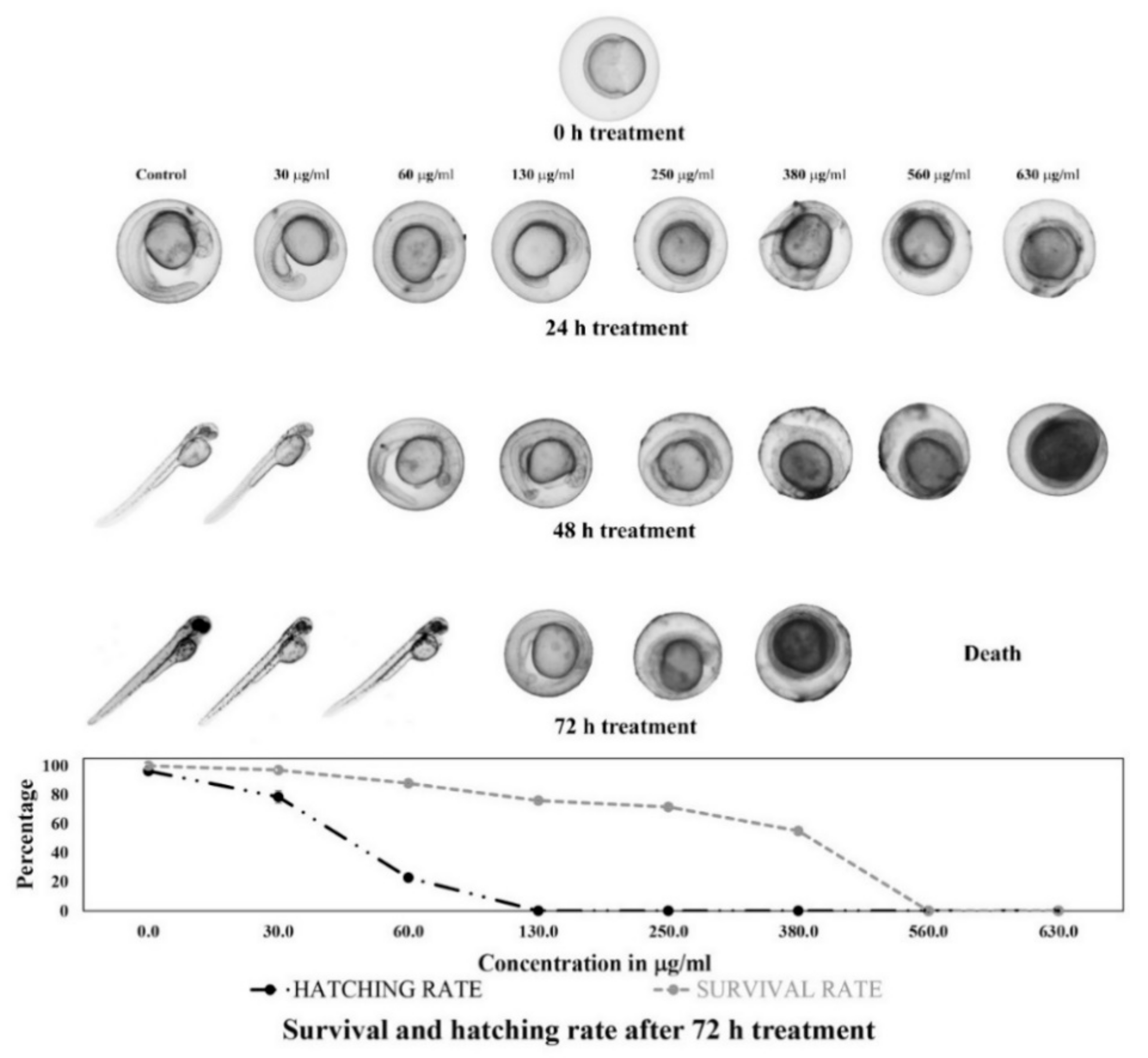 Molecules 26 02291 g002 Molecules 26 02291 g002