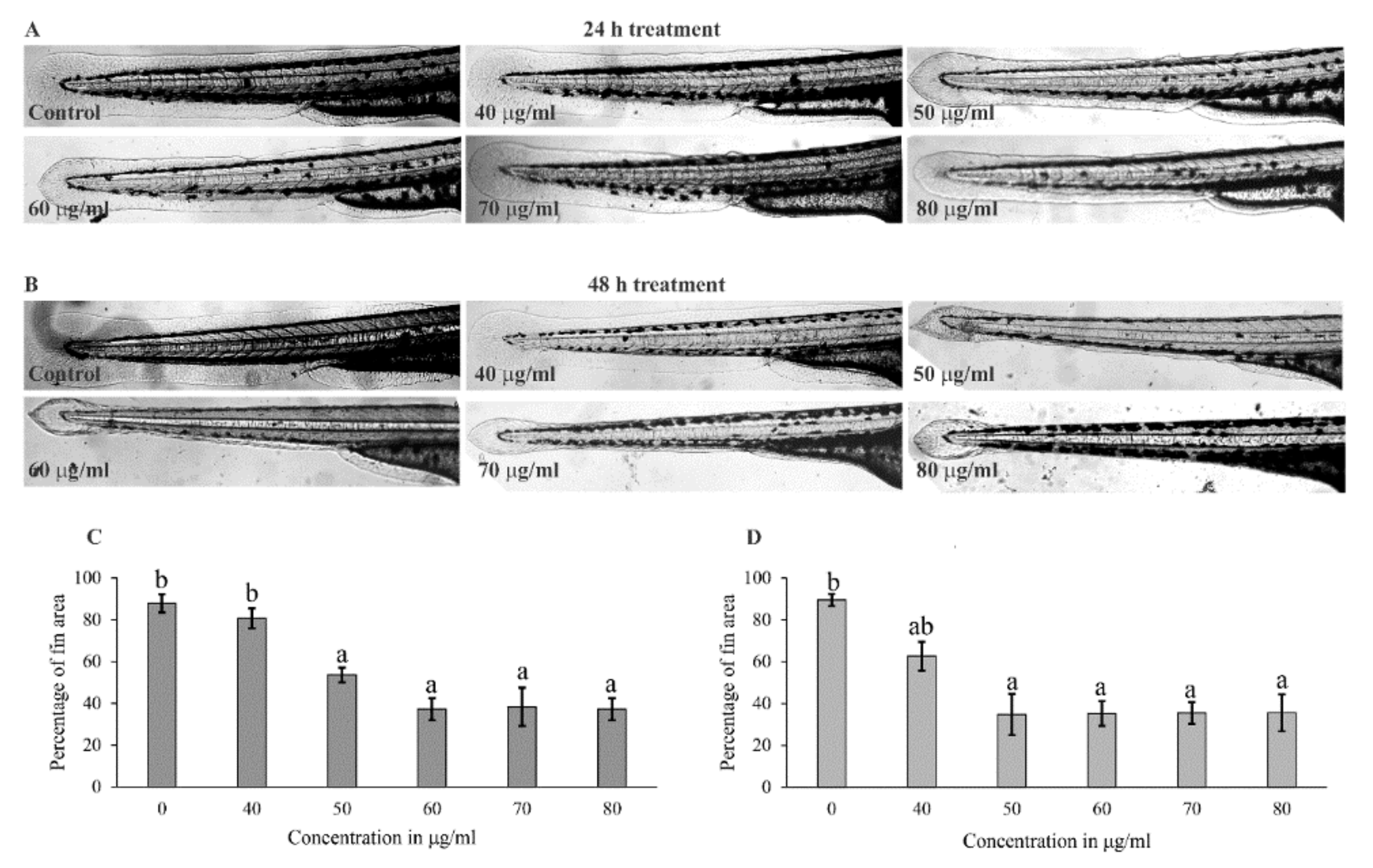 Molecules 26 02291 g003 Molecules 26 02291 g003