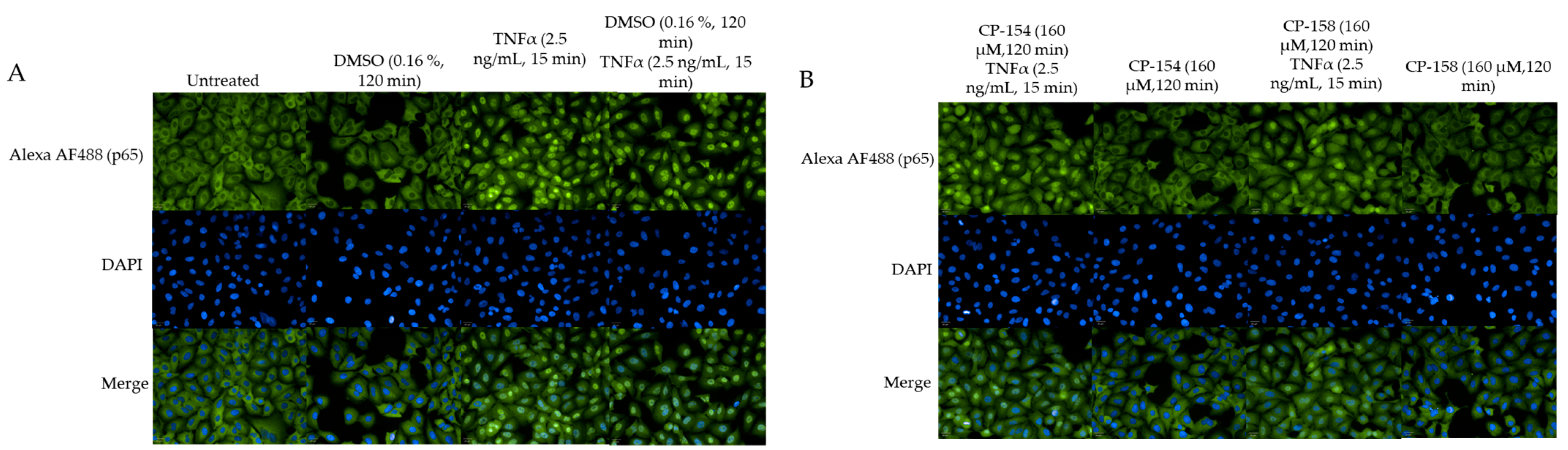 Molecules 26 02293 g007a Molecules 26 02293 g007a