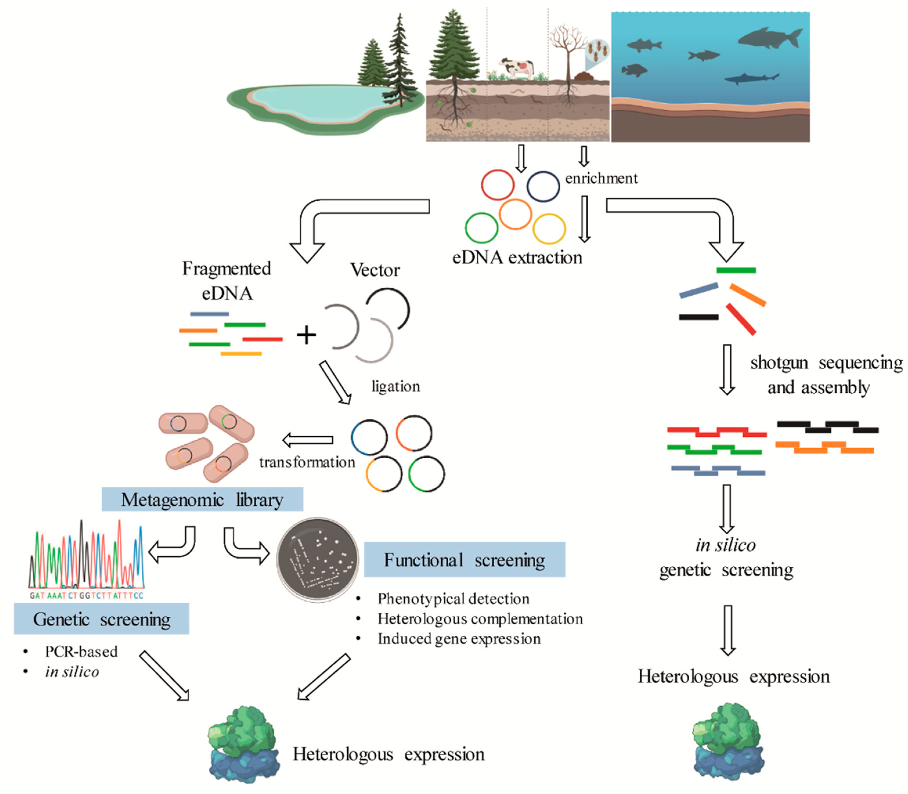 Molecules 26 02299 g004