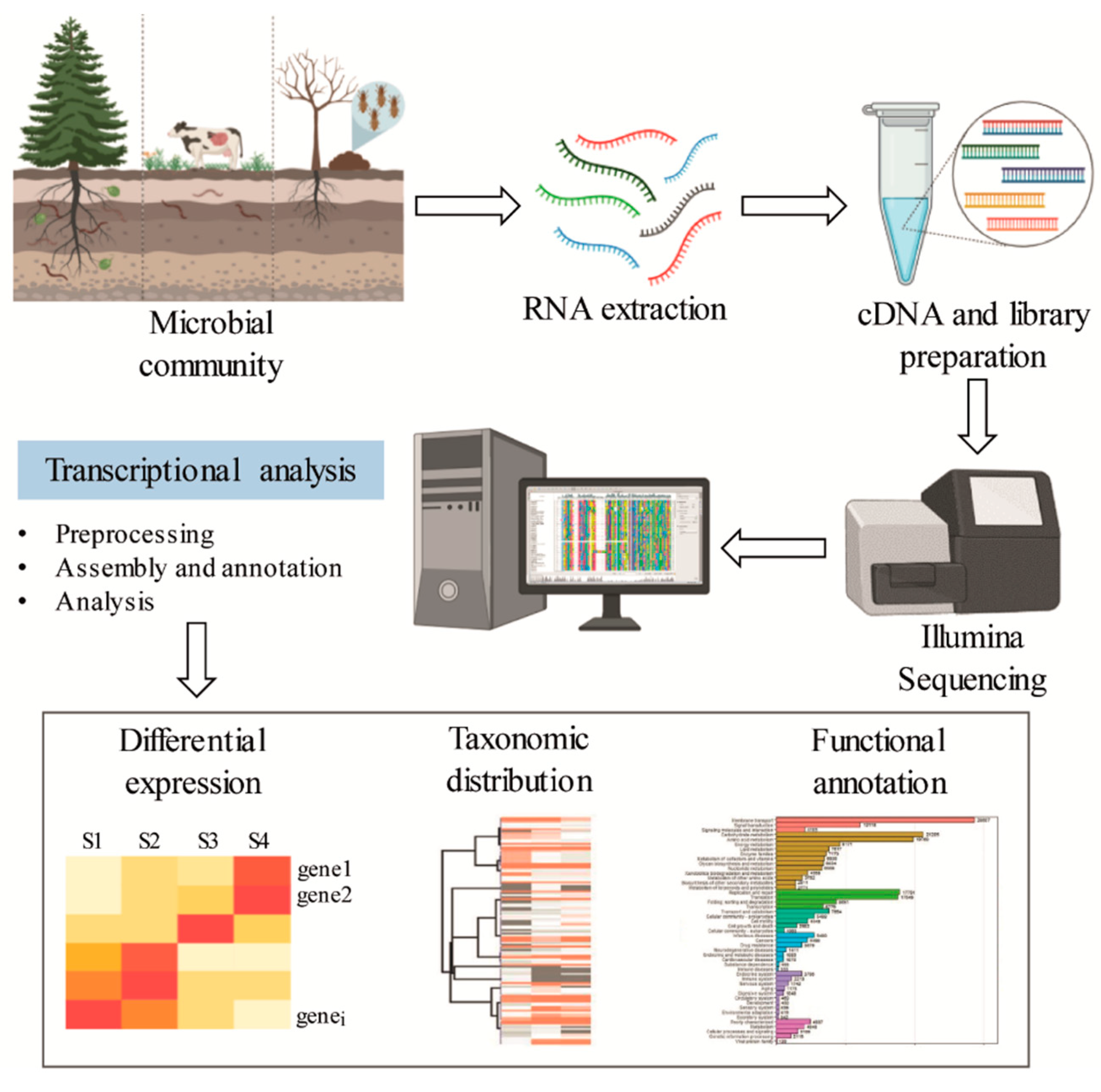 Molecules 26 02299 g005