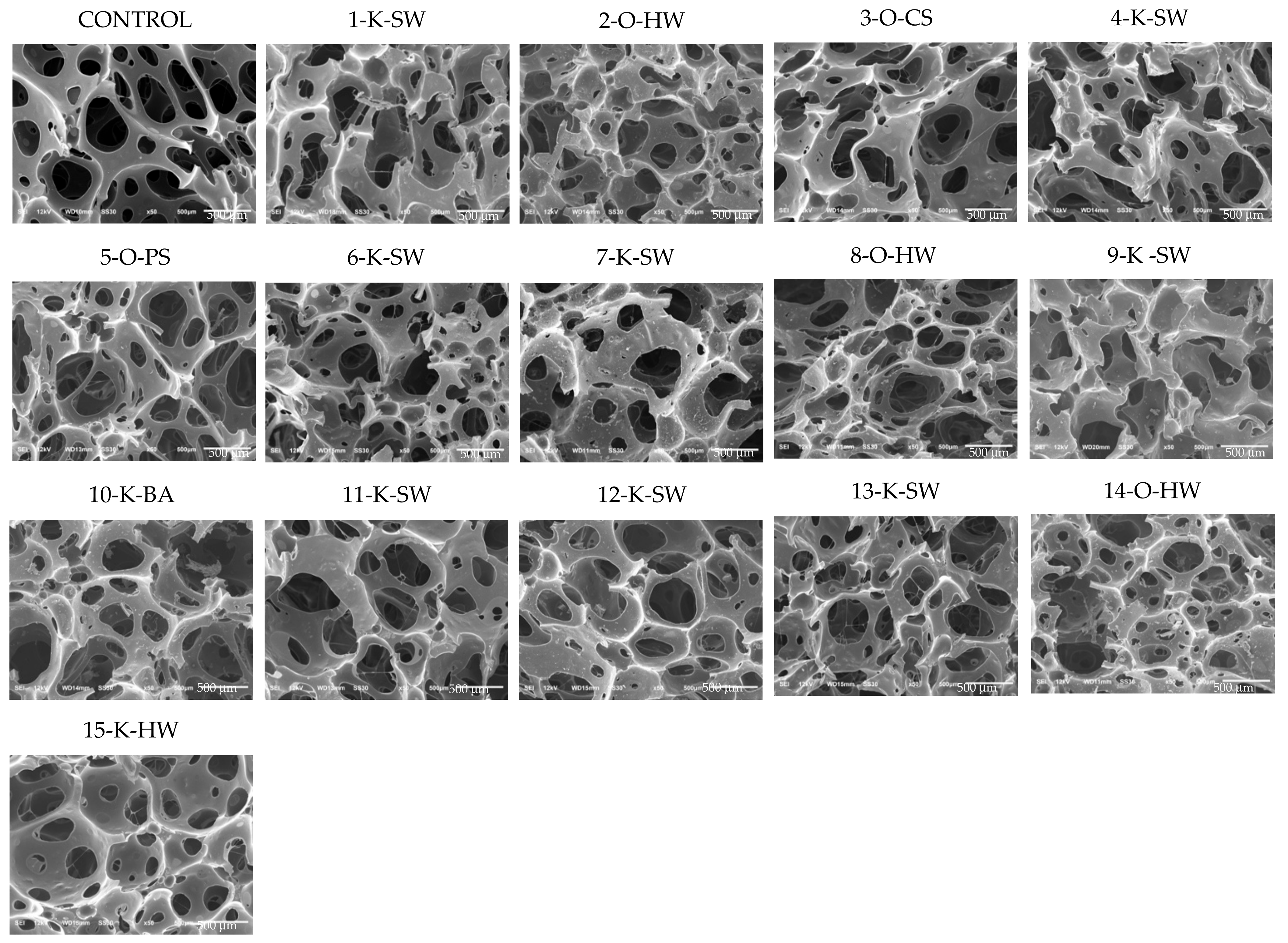 Molecules 26 02302 g007 Molecules 26 02302 g007