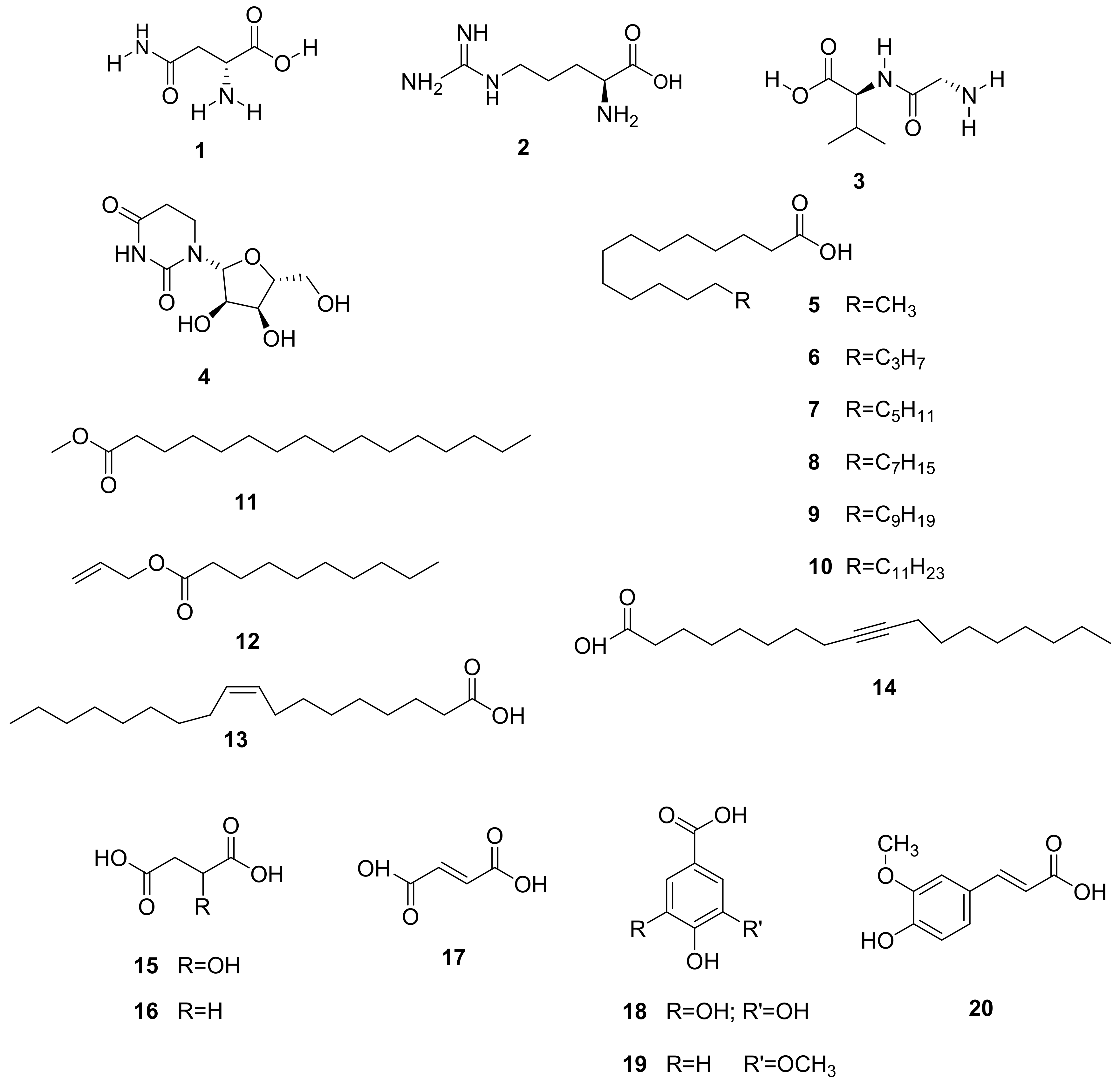 Molecules 26 02306 g002