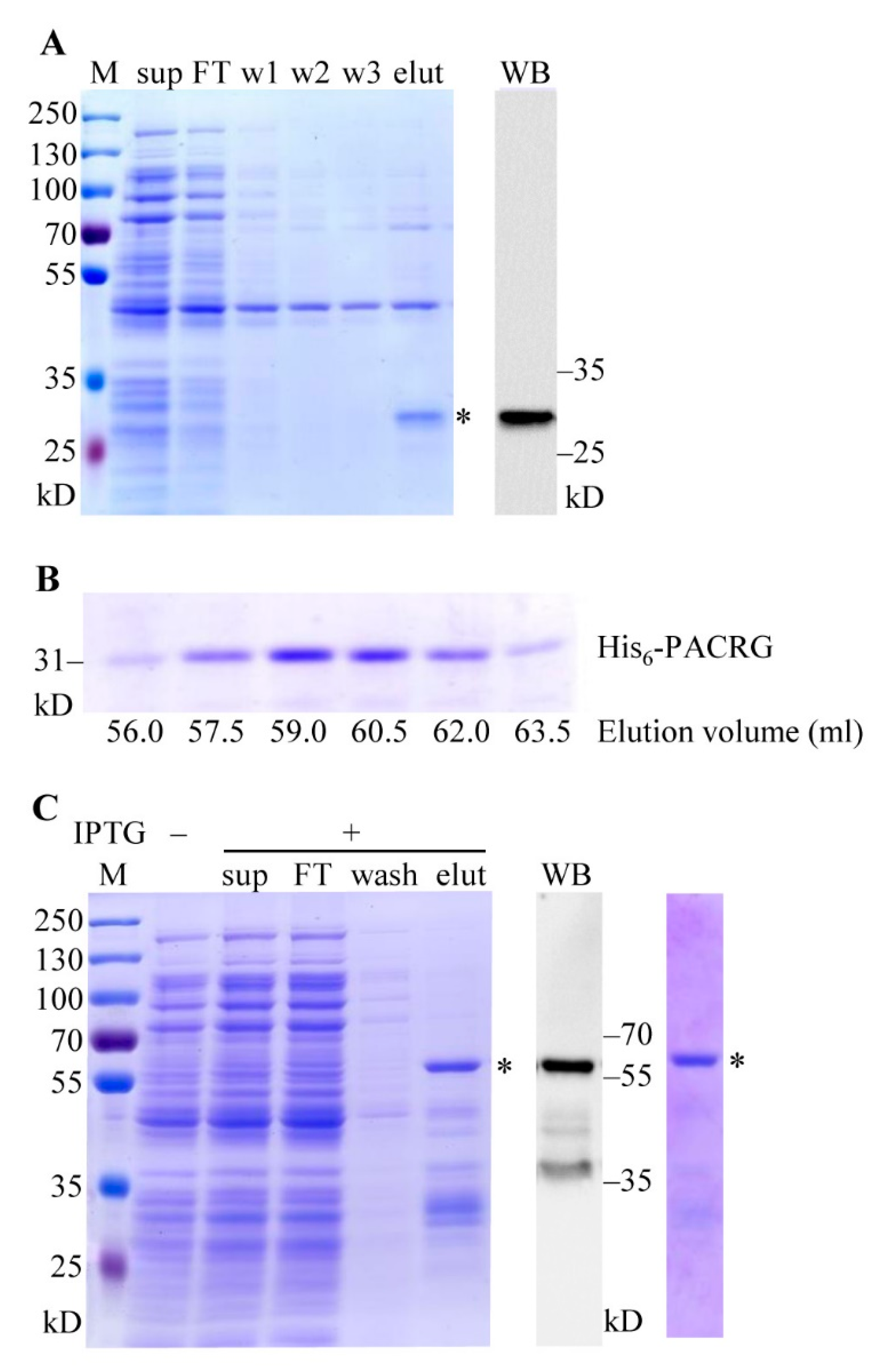 Molecules 26 02308 g003 Molecules 26 02308 g003