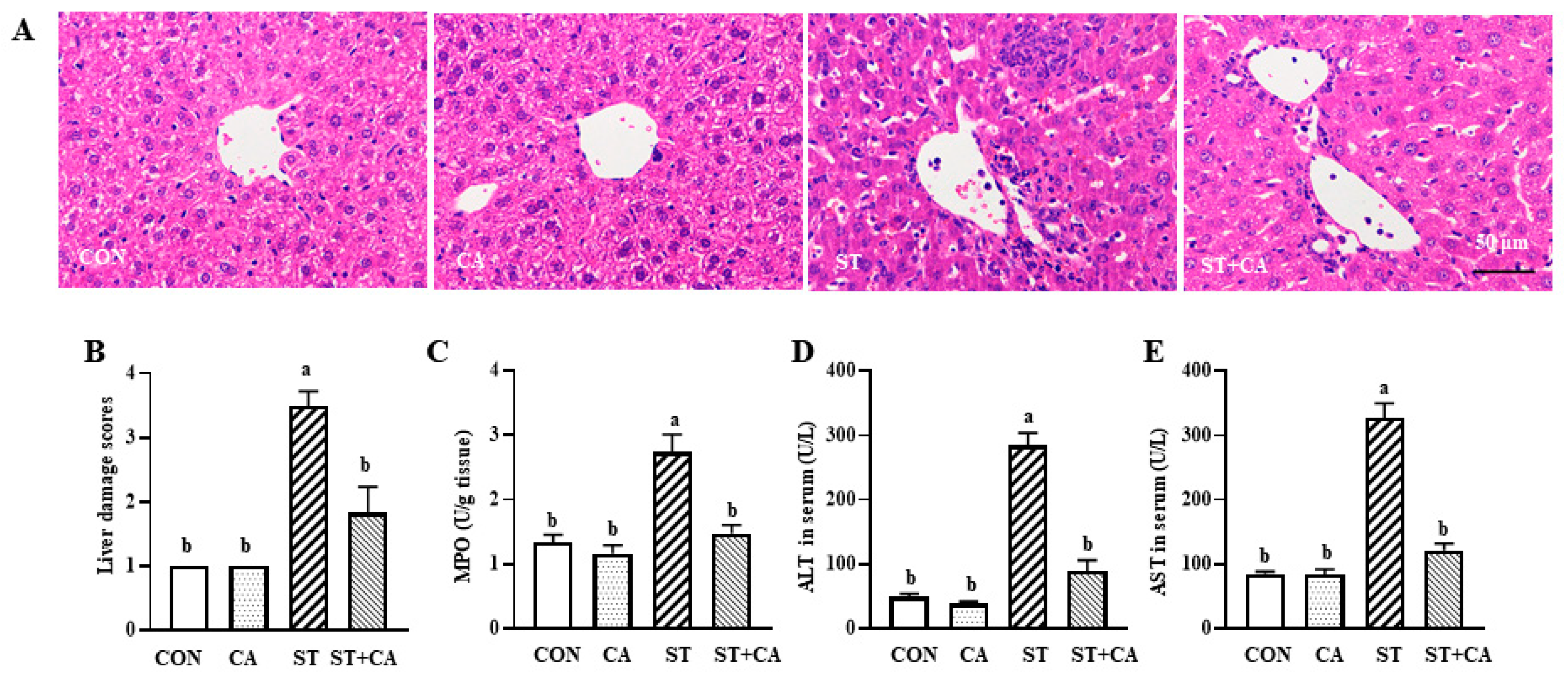 Molecules 26 02309 g002