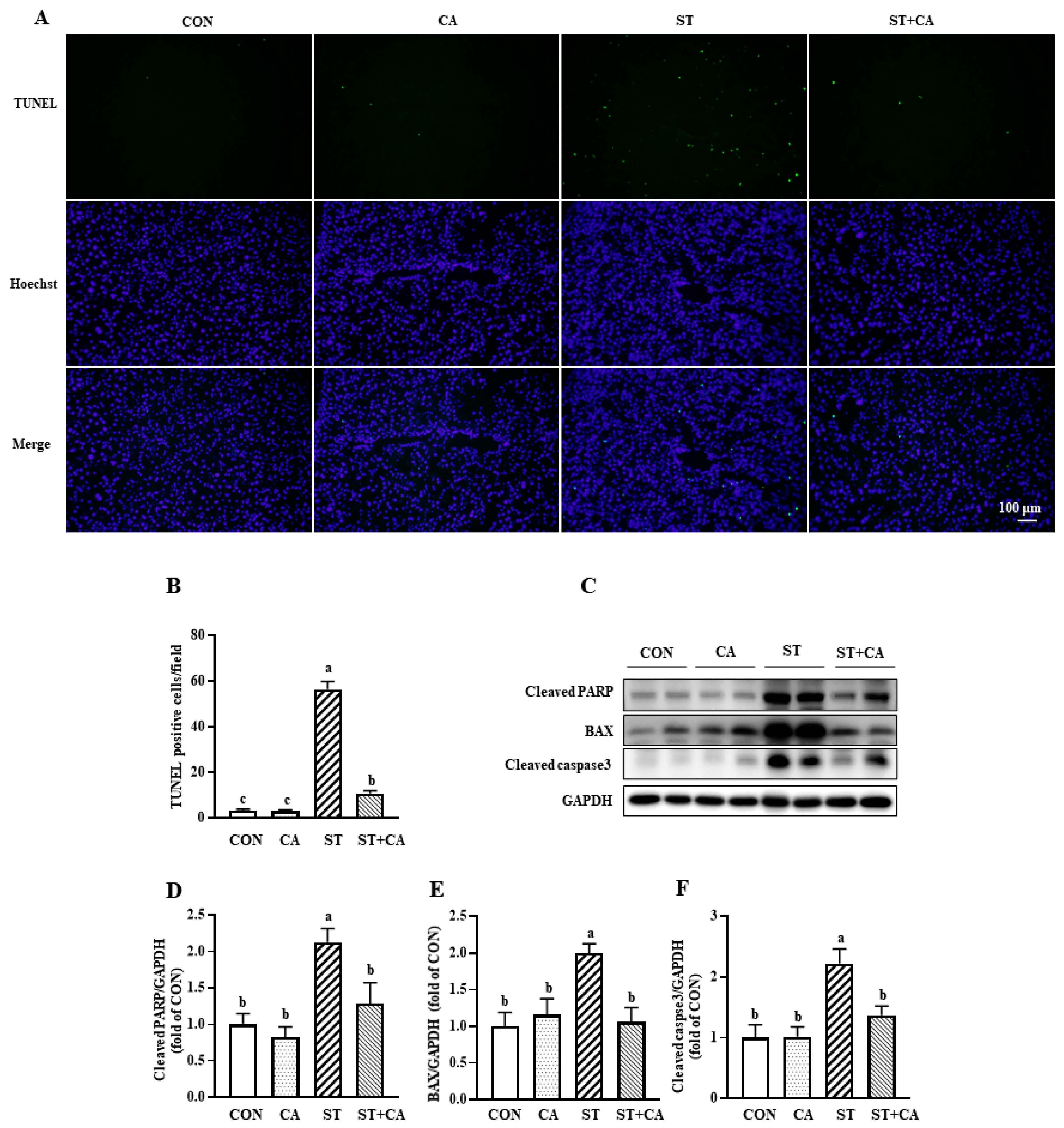 Molecules 26 02309 g004