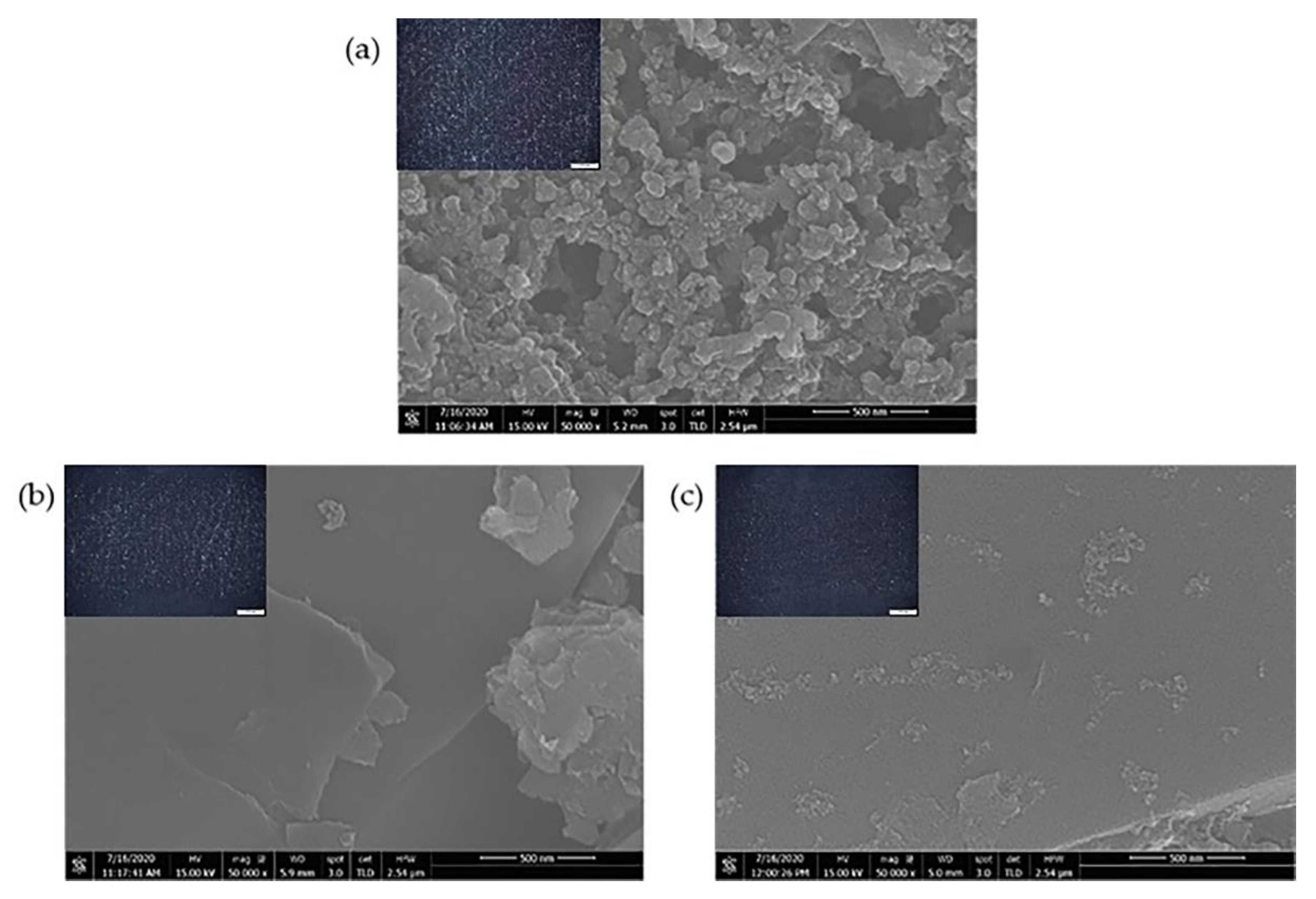 Molecules 26 02312 g001