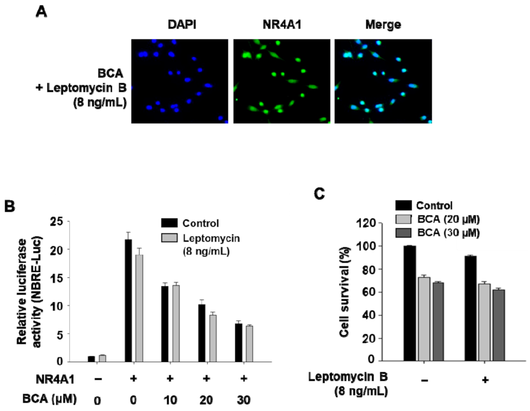 Molecules 26 02316 g002 Molecules 26 02316 g002