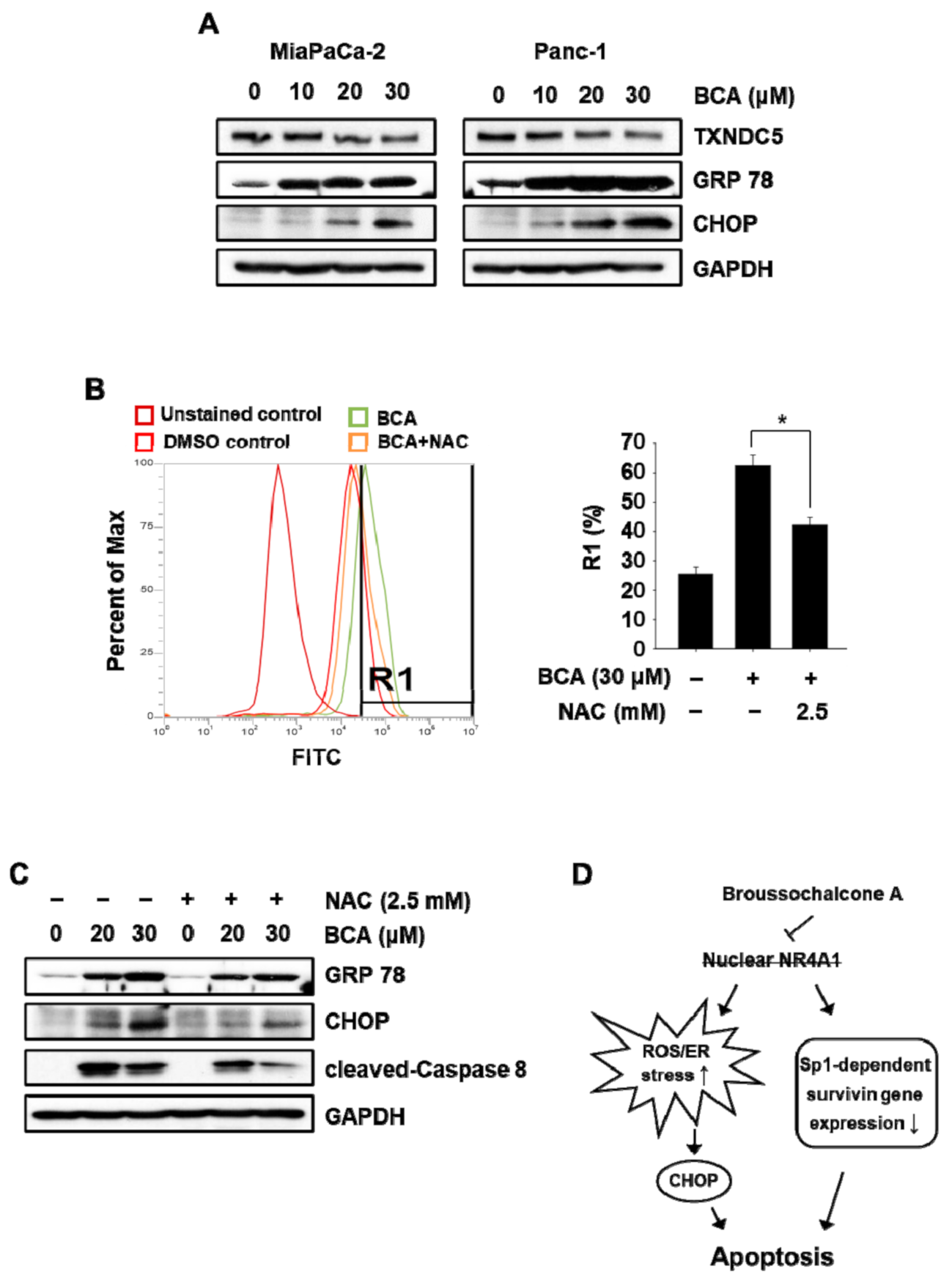 Molecules 26 02316 g005 Molecules 26 02316 g005