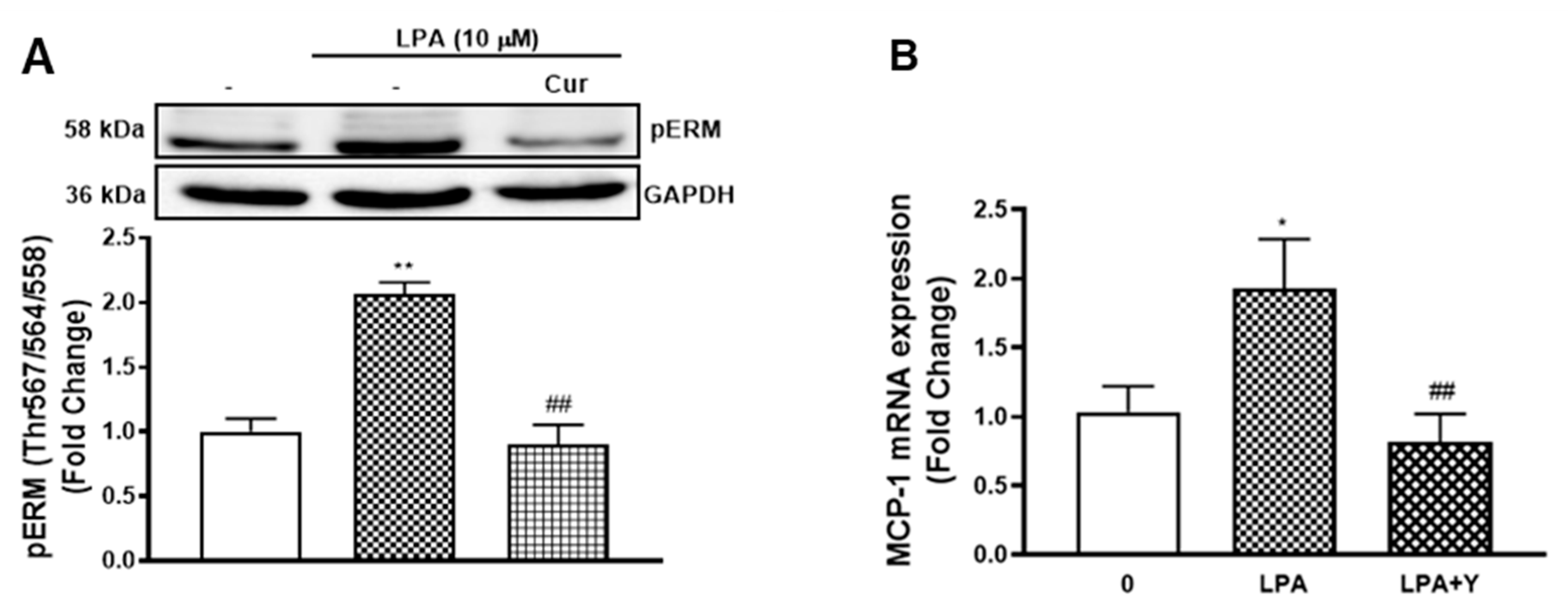 Molecules 26 02320 g006