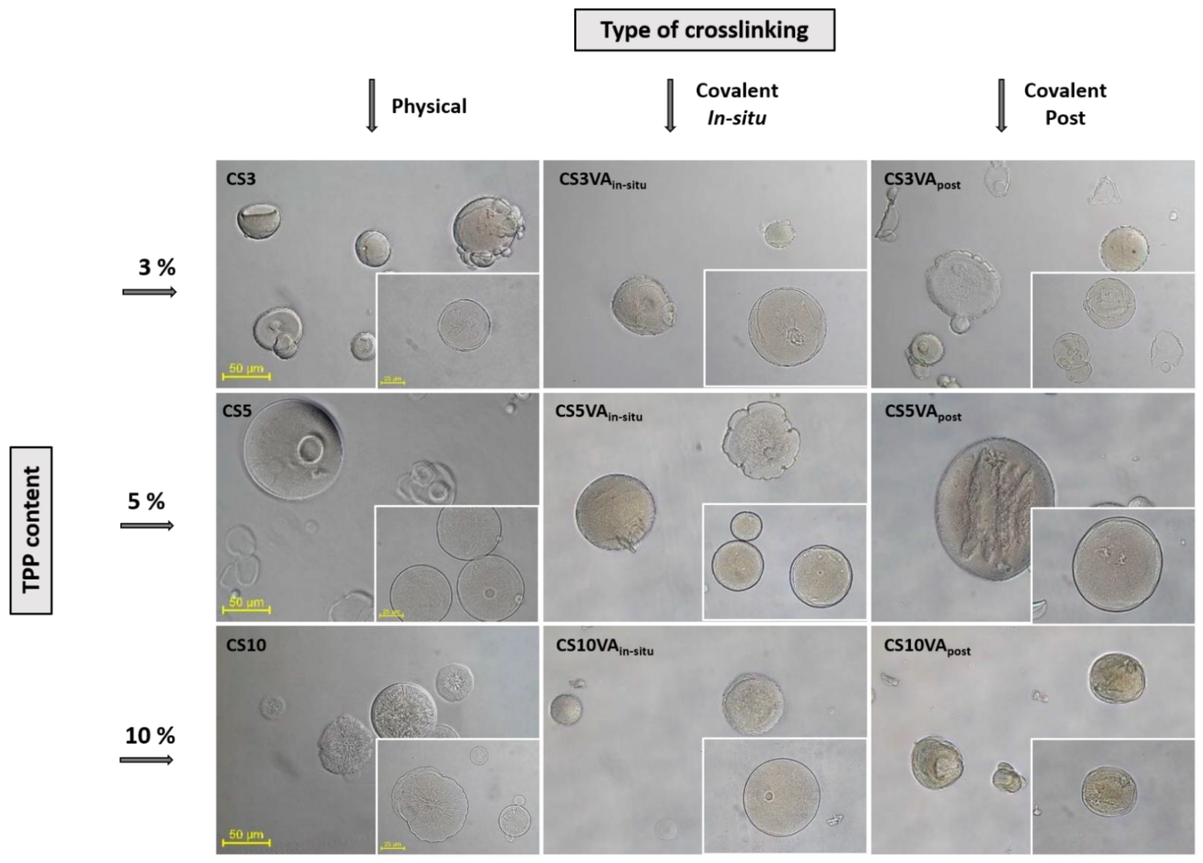 Molecules 26 02325 g001