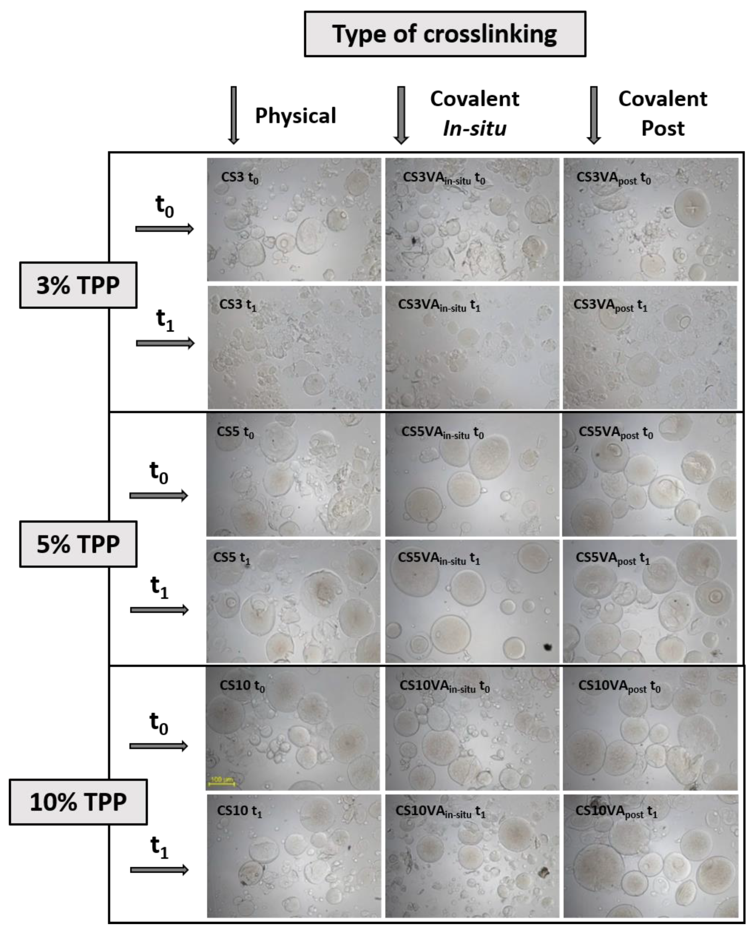 Molecules 26 02325 g004