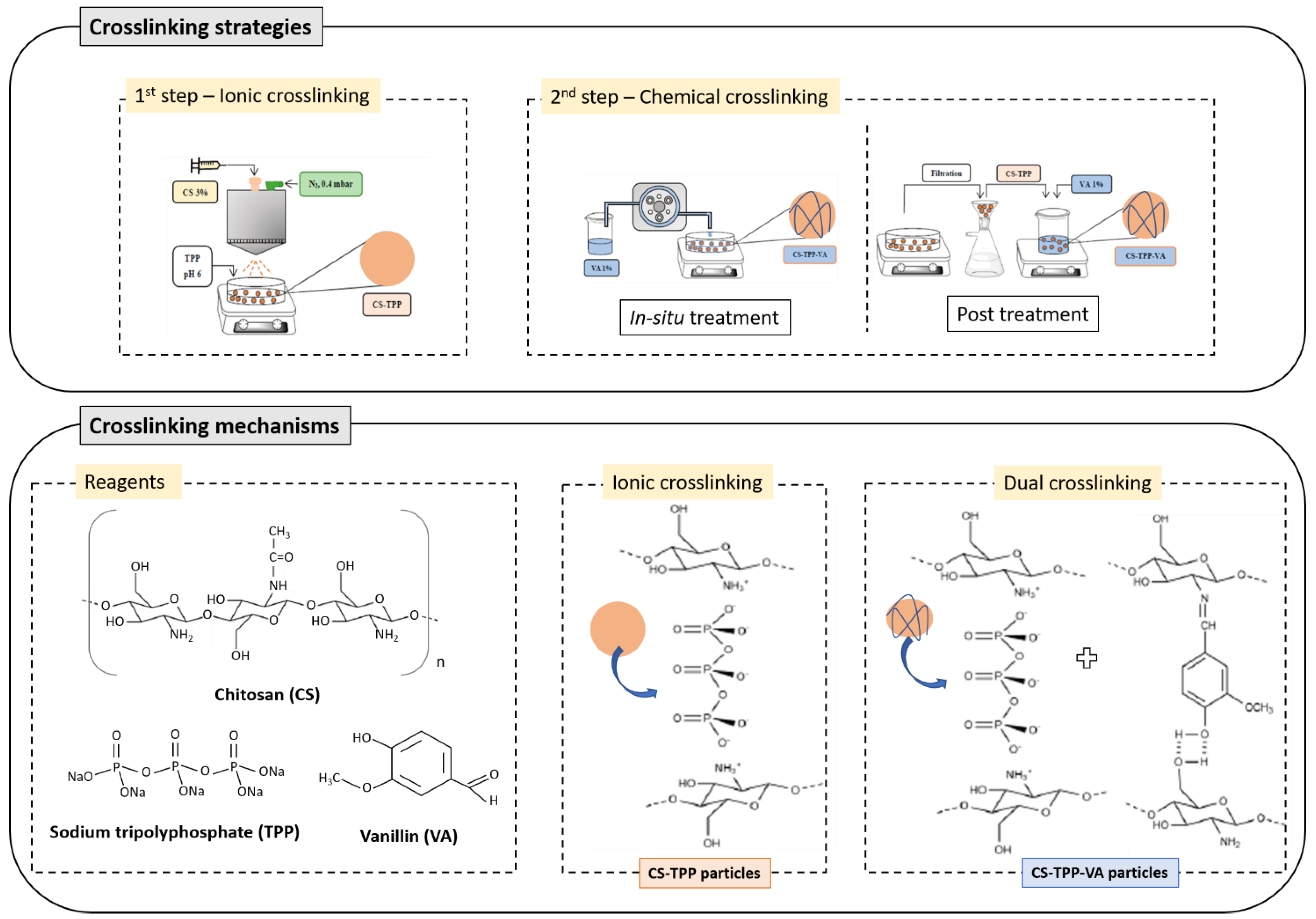 Molecules 26 02325 g006
