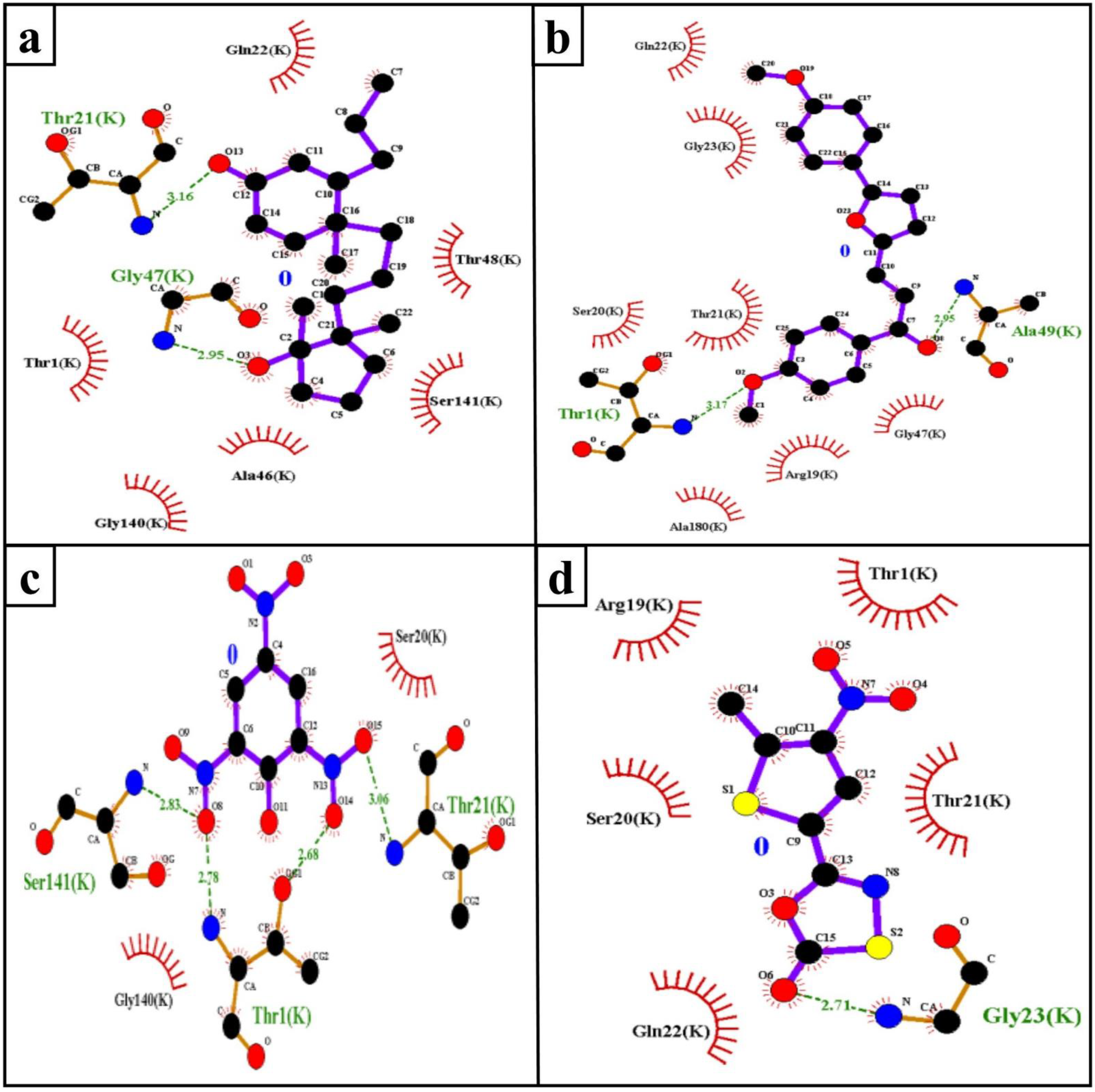 Molecules 26 02326 g004