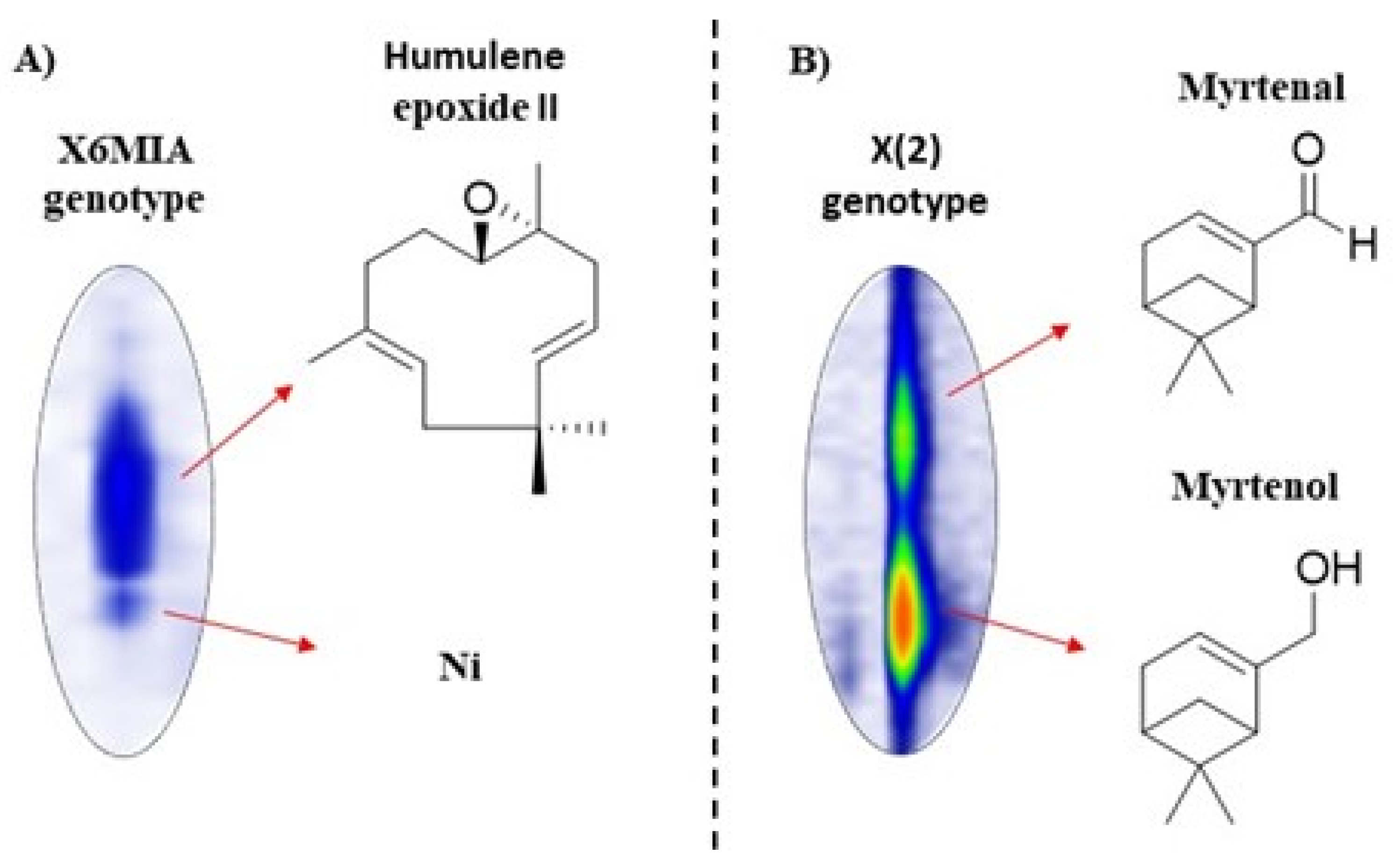 Molecules 26 02332 g004