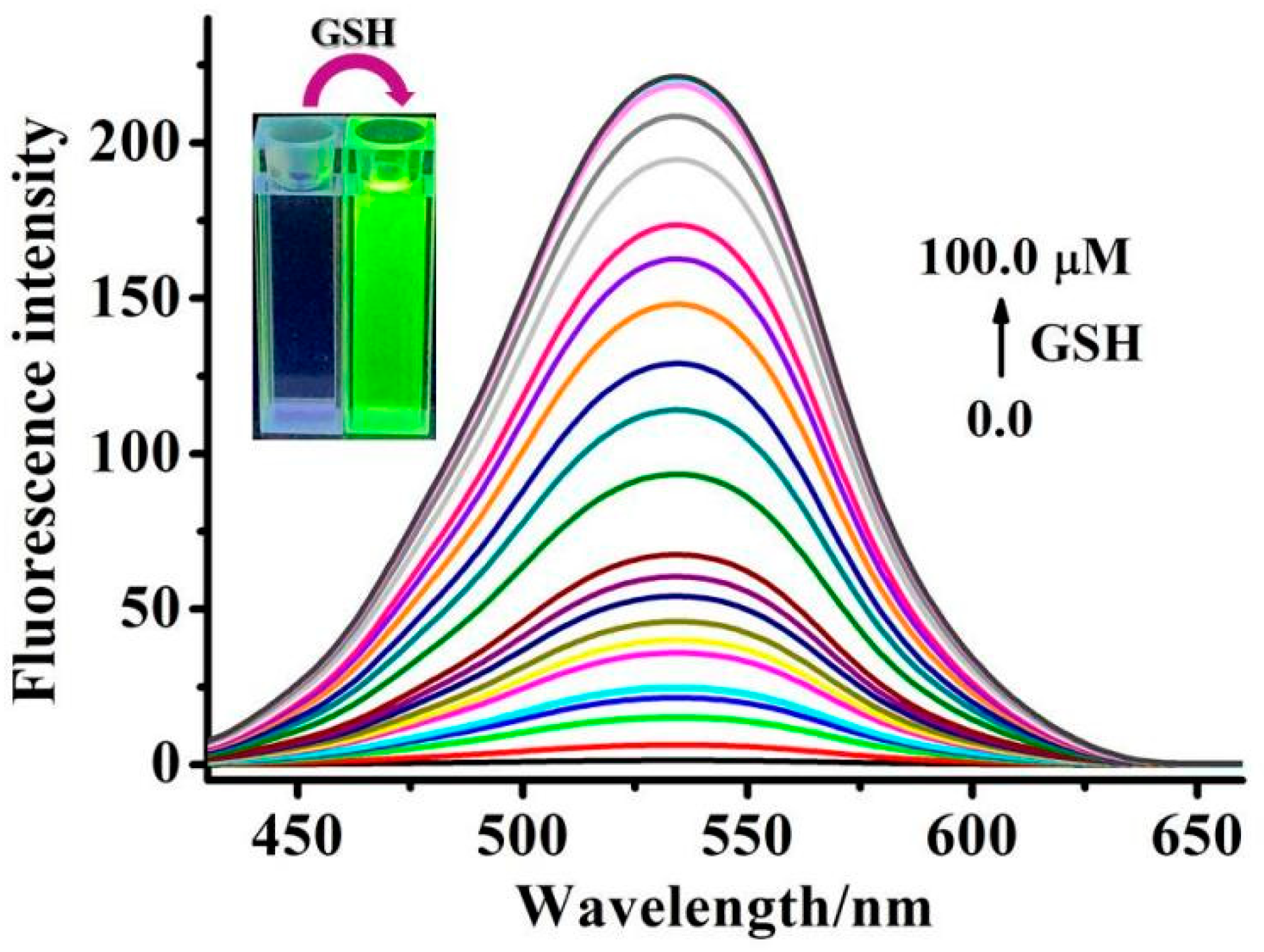Molecules 26 02337 g003 Molecules 26 02337 g003